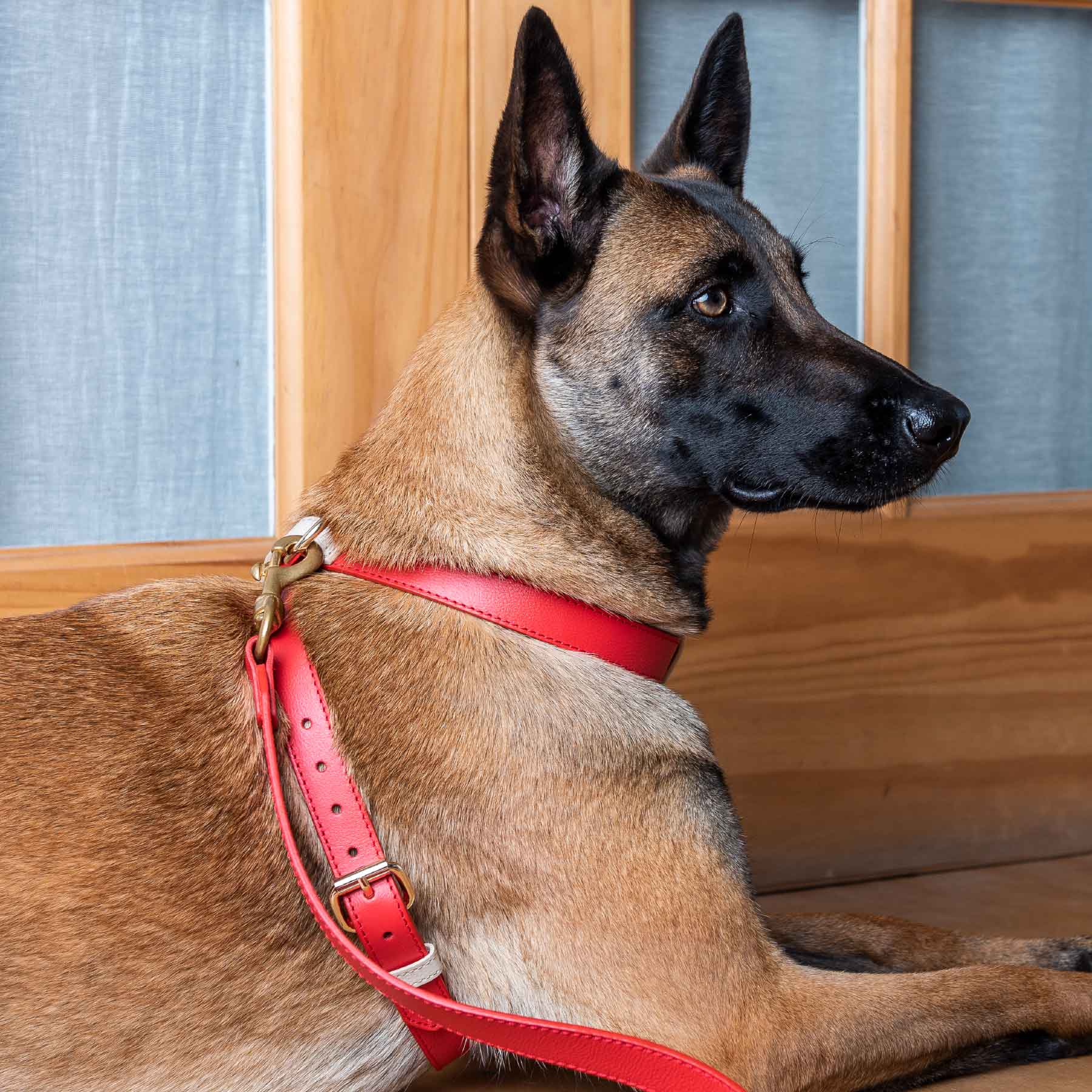 Arnes cherry/cream & correa cherry/cream