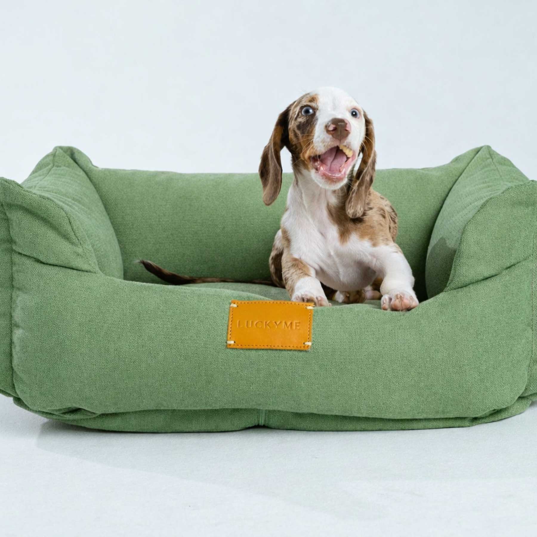 "NEW" LUCKYME BED GREEN (XS-S)