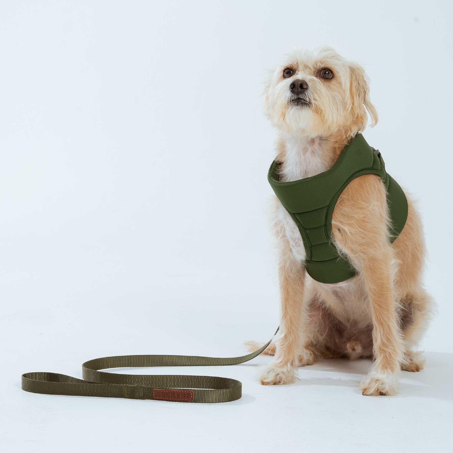 pechera olive + correa olive