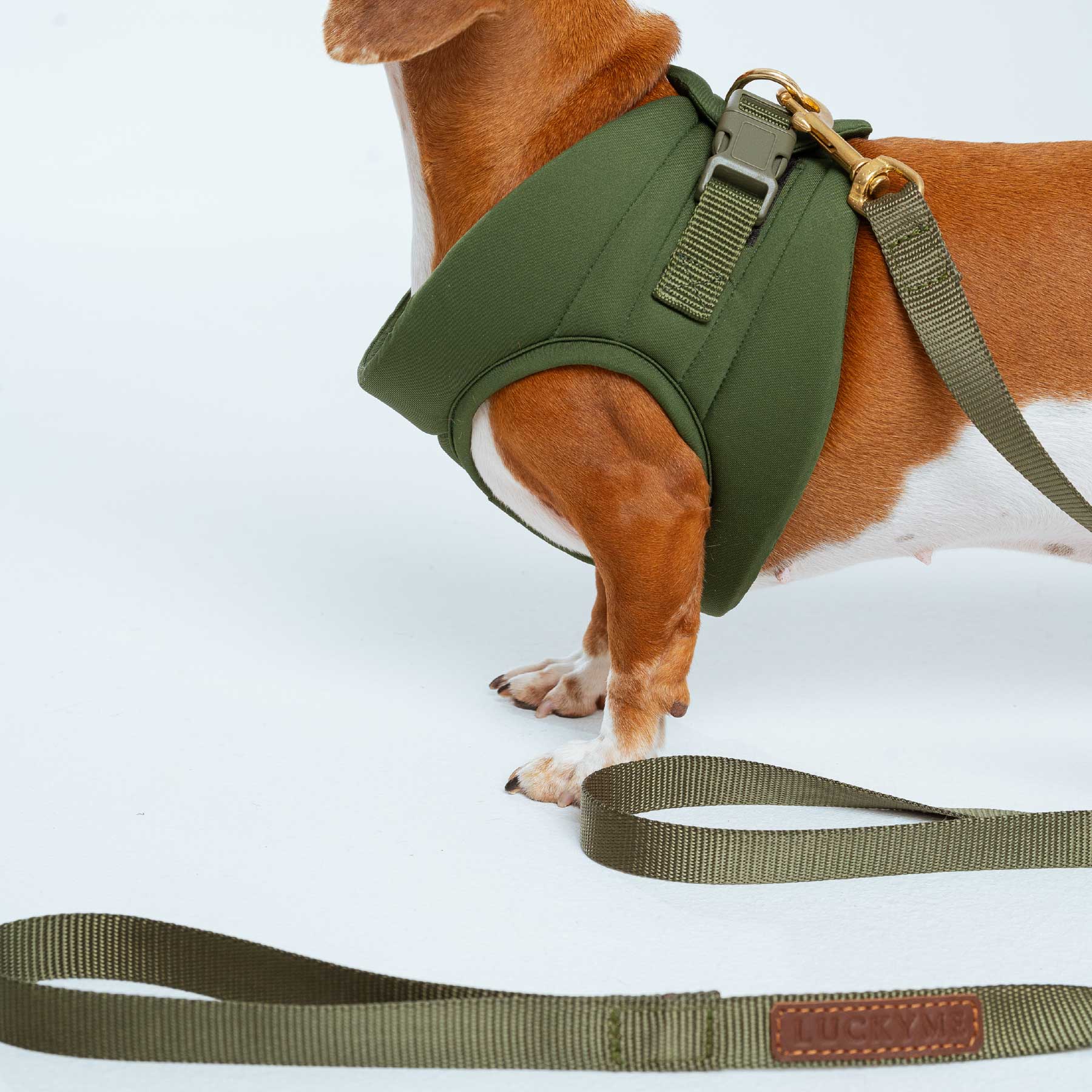 pechera olive + correa olive