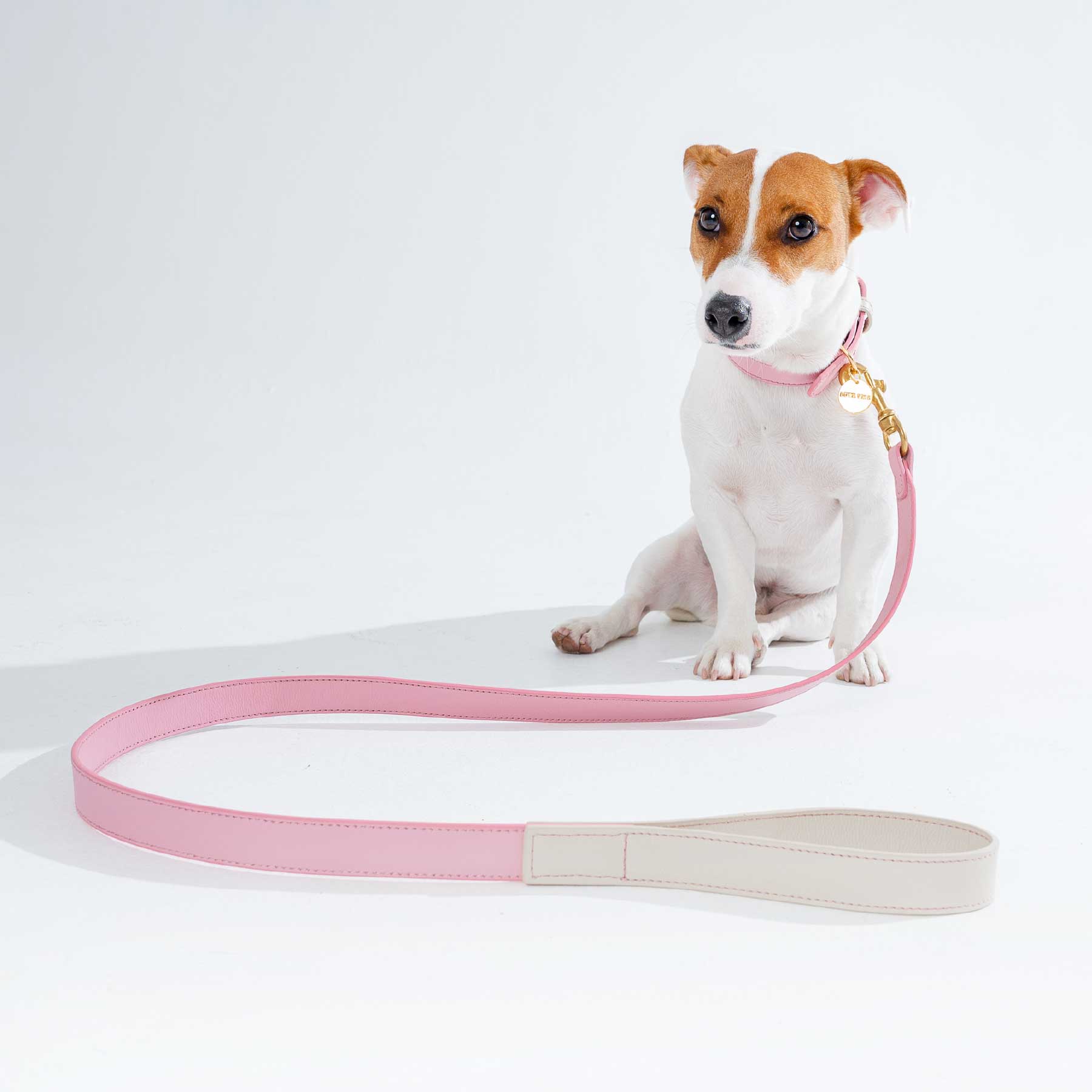 SET COLLAR PINKBLUSH/CREAM + CORREA PINKBLUSH/CREAM