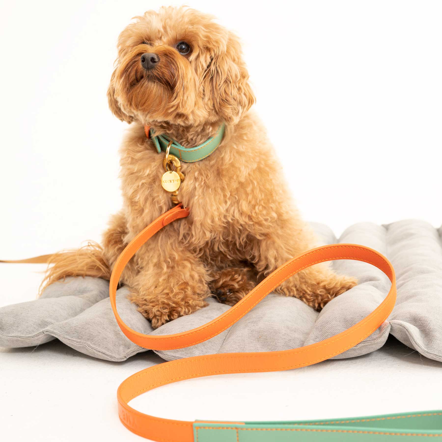 Collar Aquamarine/Papaya