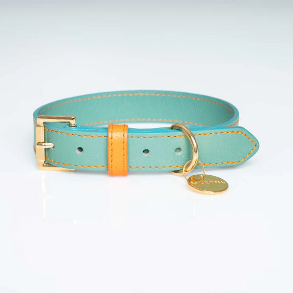 COLLAR MINI XXS AQUAMARINE/PAPAYA