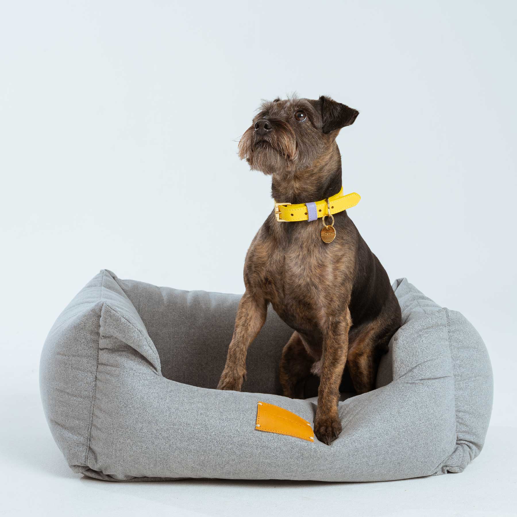 LUCKYME BED GREY (XS-S)