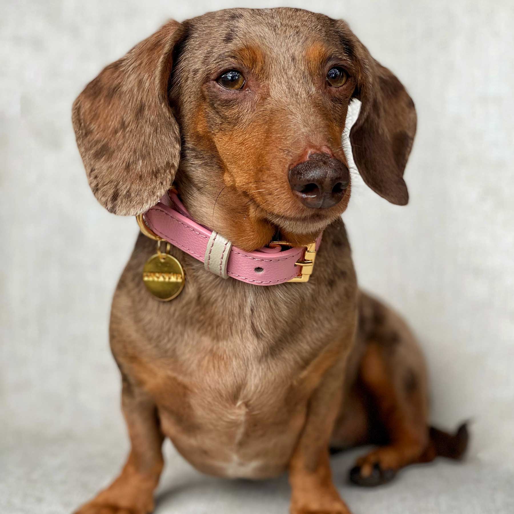 COLLAR PINKBLUSH/CREAM