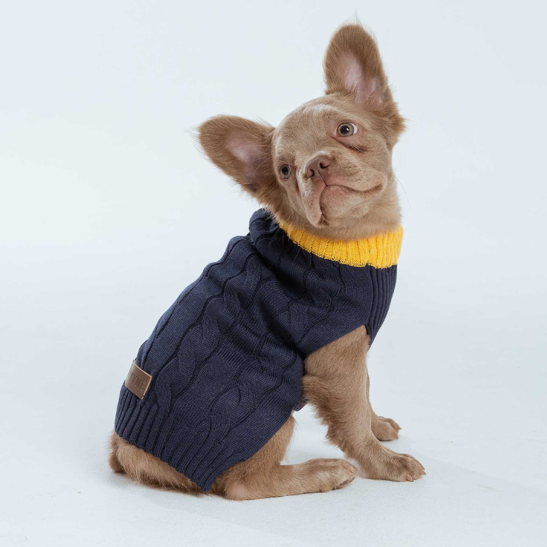 BUSO BLUE/MANGO