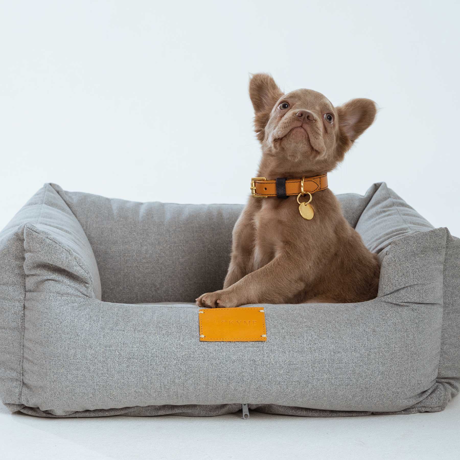 Collar Coconut/Blueberry