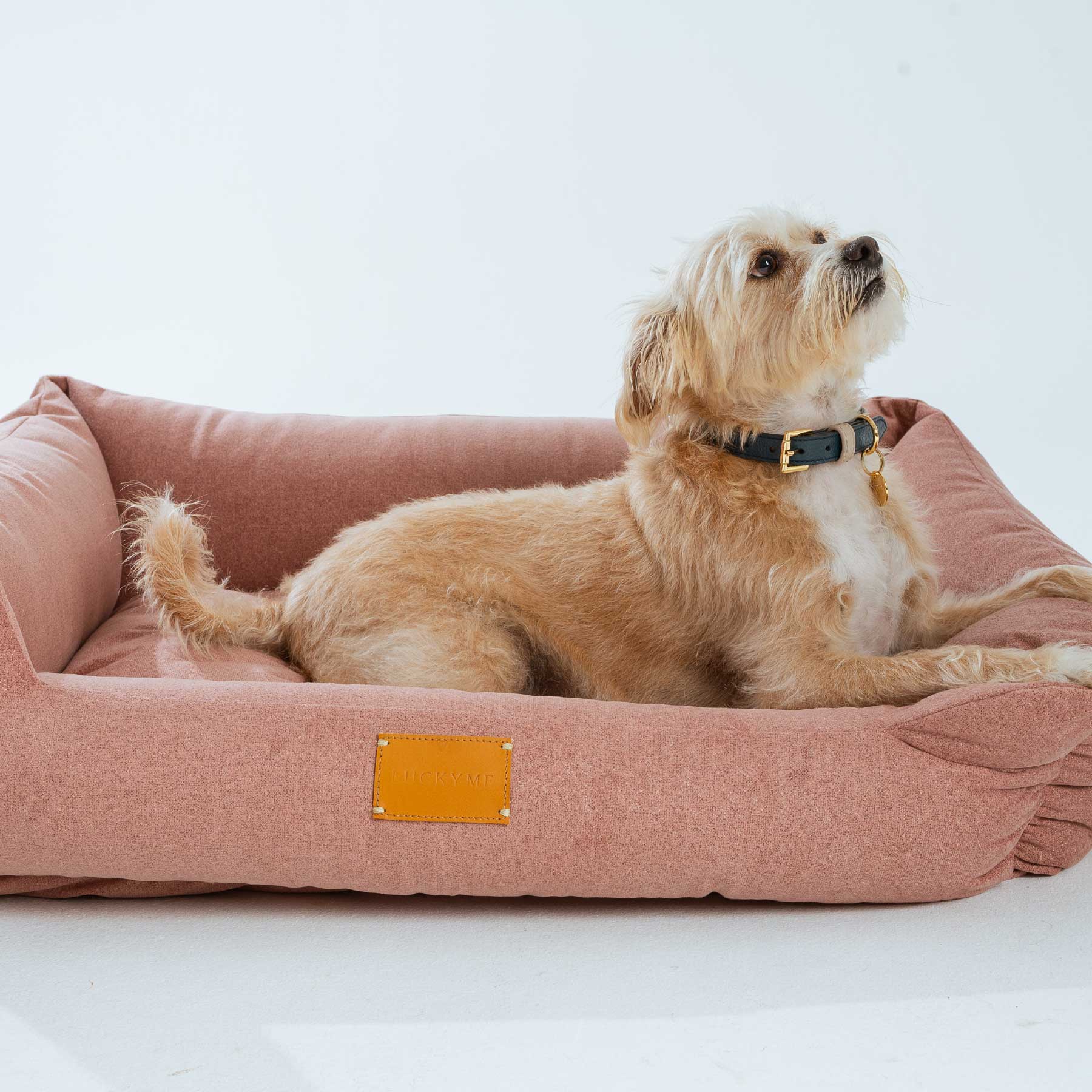 "SPECIAL EDITION" LUCKYME BED PINK (M-L)