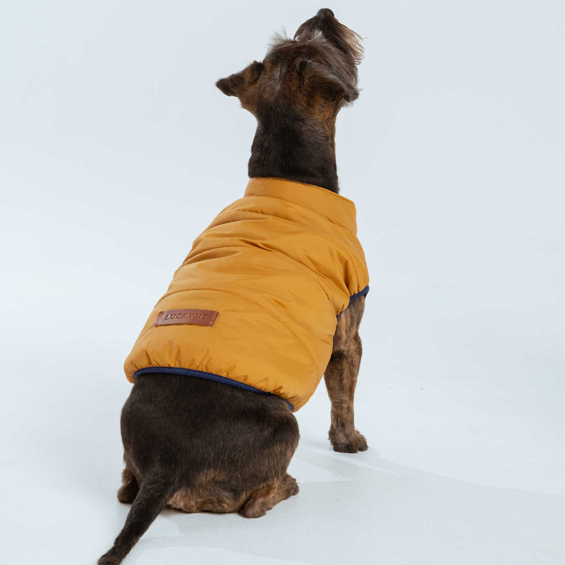 CHALECO MUSTARD "new collection"