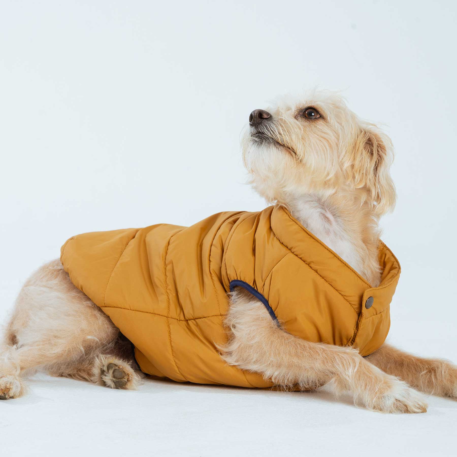 CHALECO MUSTARD "new collection"