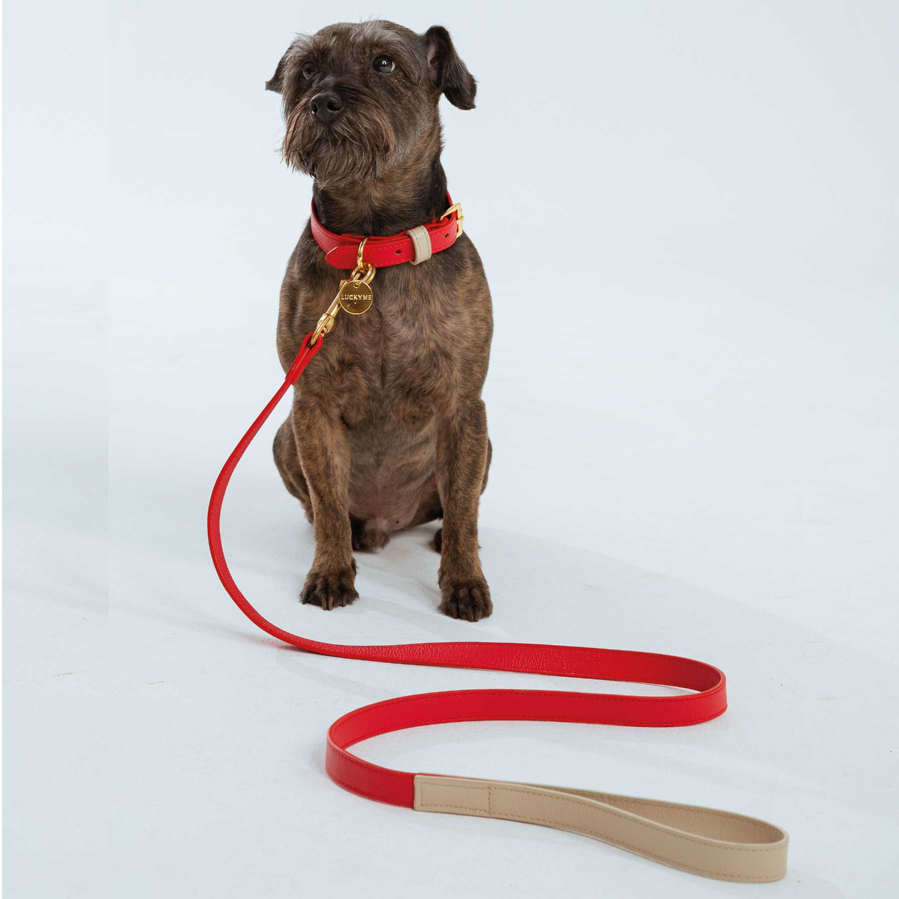 Set Collar Cherry/Cream & Correa Cherry/Cream