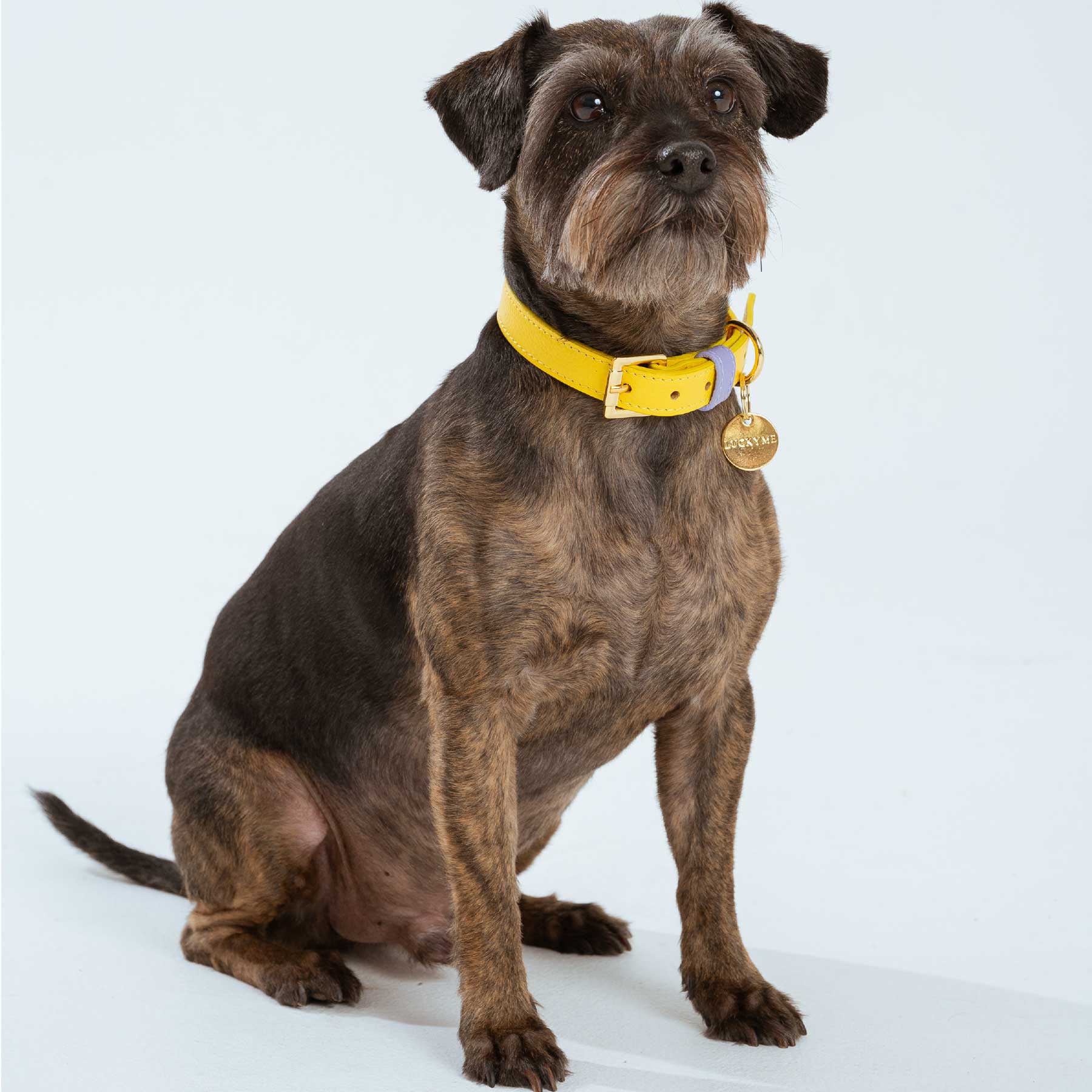 COLLAR BANANA/PURPLE