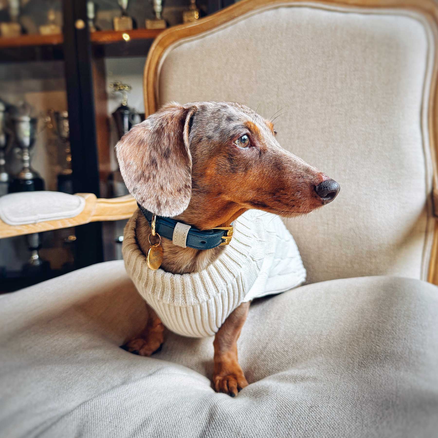 COLLAR NAVY/TAUPE