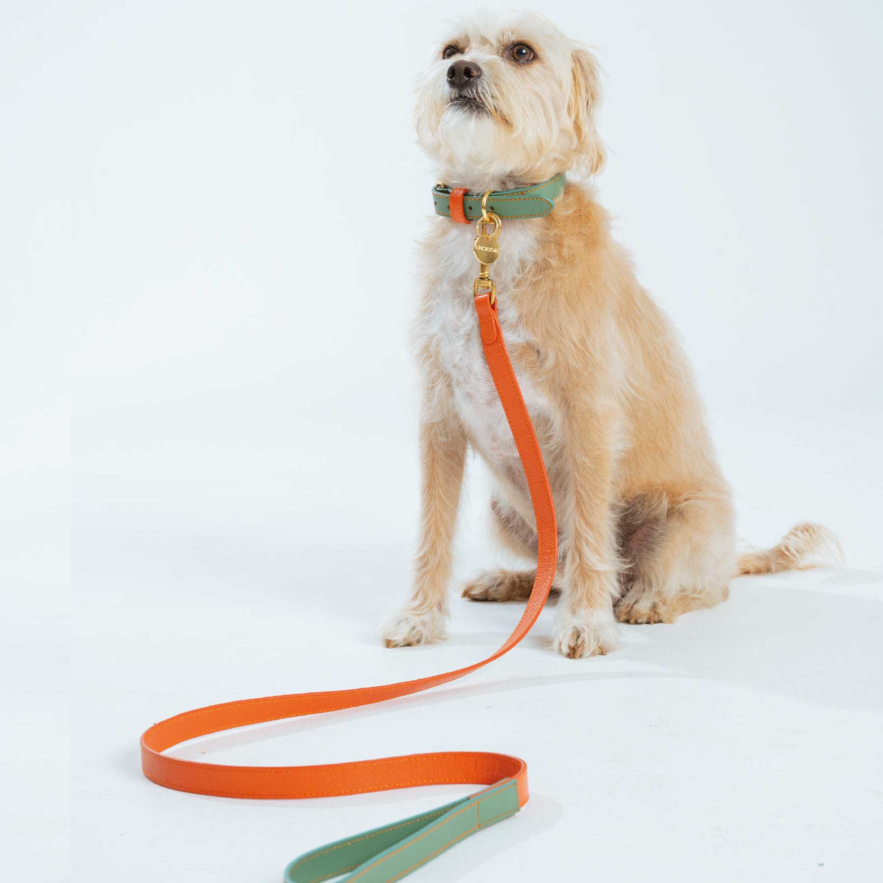 SET COLLAR AQUAMARINE/PAPAYA & CORREA PAPAYA/AQUAMARINE