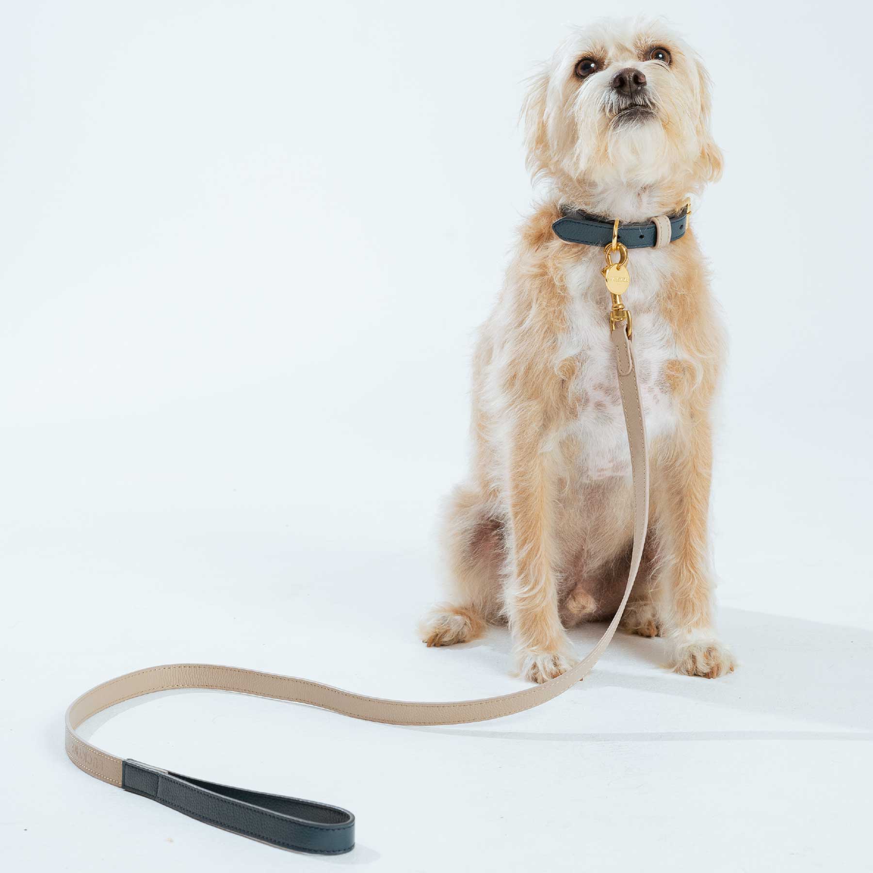 CORREA TAUPE/NAVY BLUE