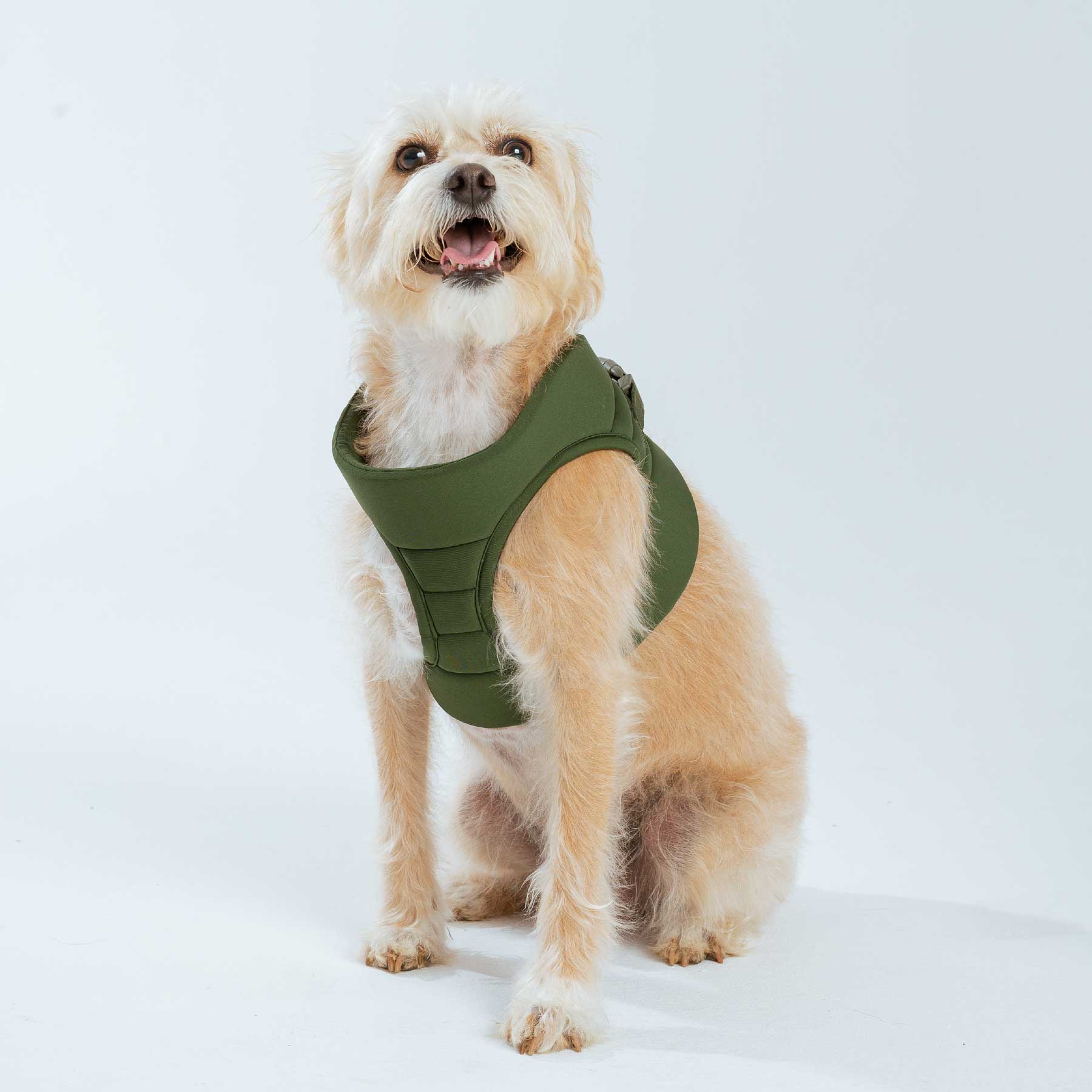 Pechera olive