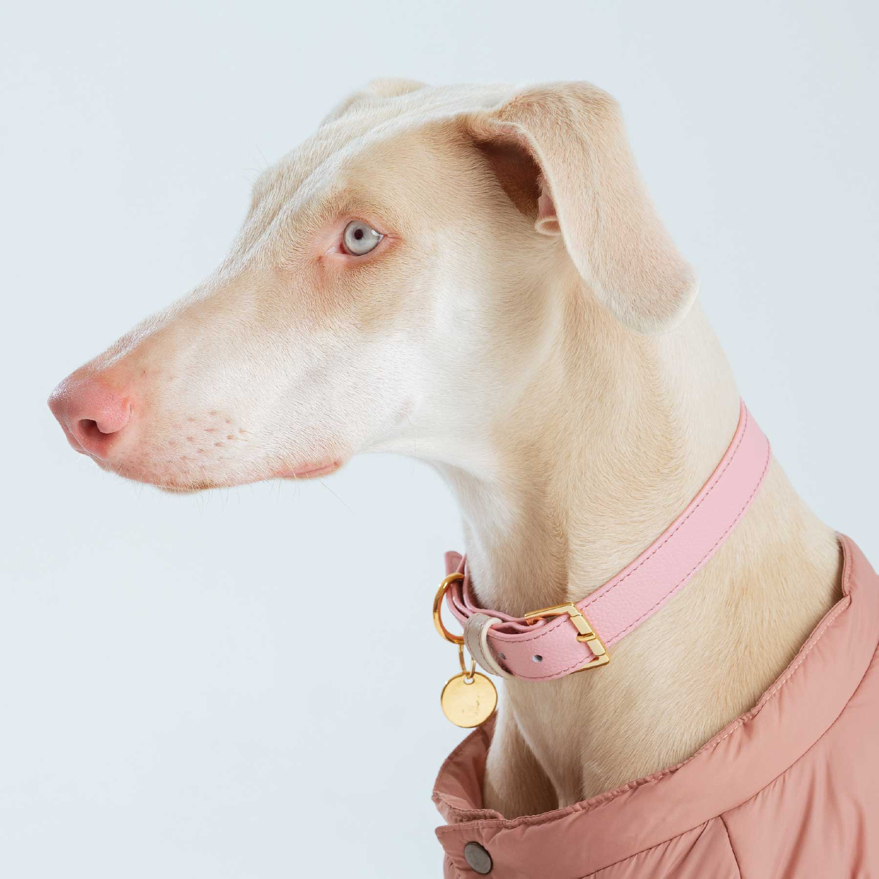 COLLAR PINKBLUSH/CREAM