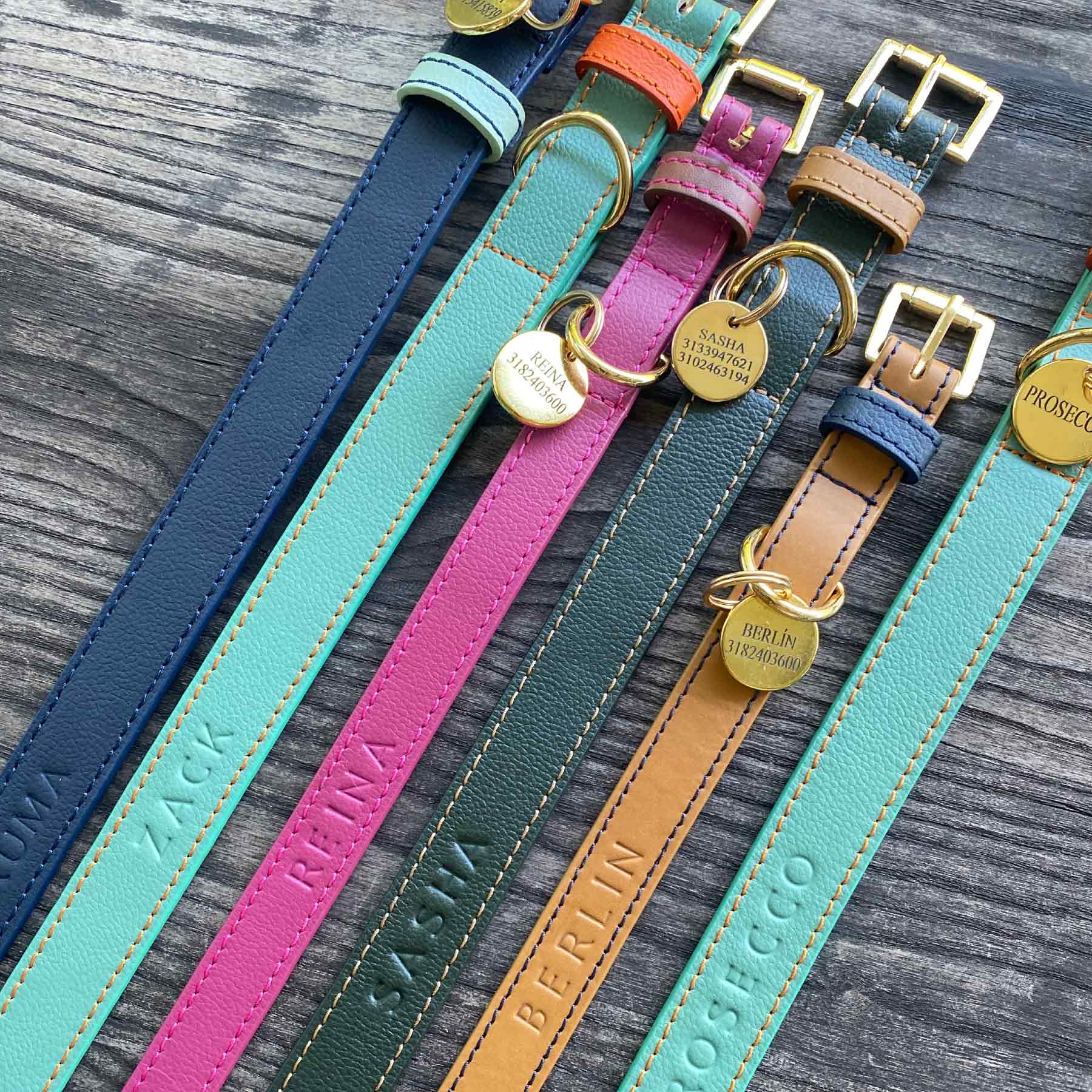 SET COLLAR AQUAMARINE/PAPAYA & CORREA PAPAYA/AQUAMARINE