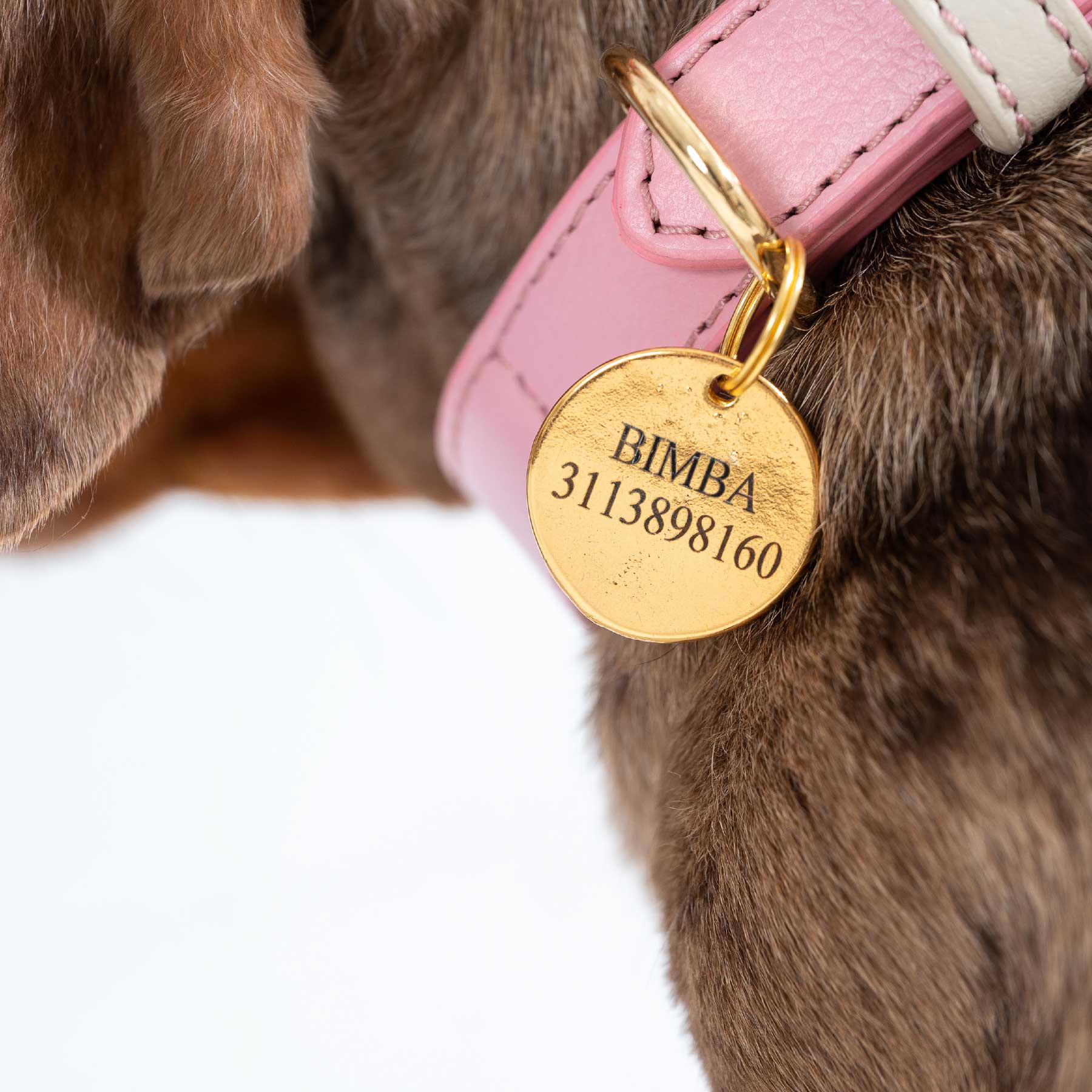 Set Collar Cherry/Cream & Correa Cherry/Cream