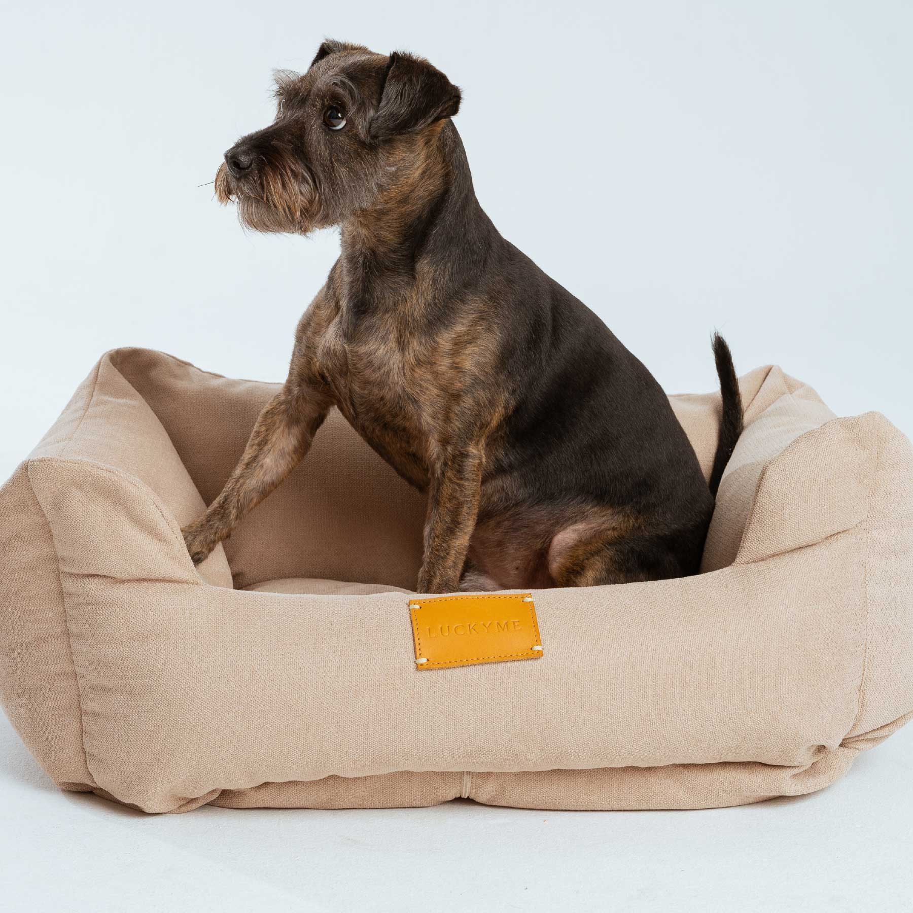 LUCKYME BED BEIGE (XS-S)