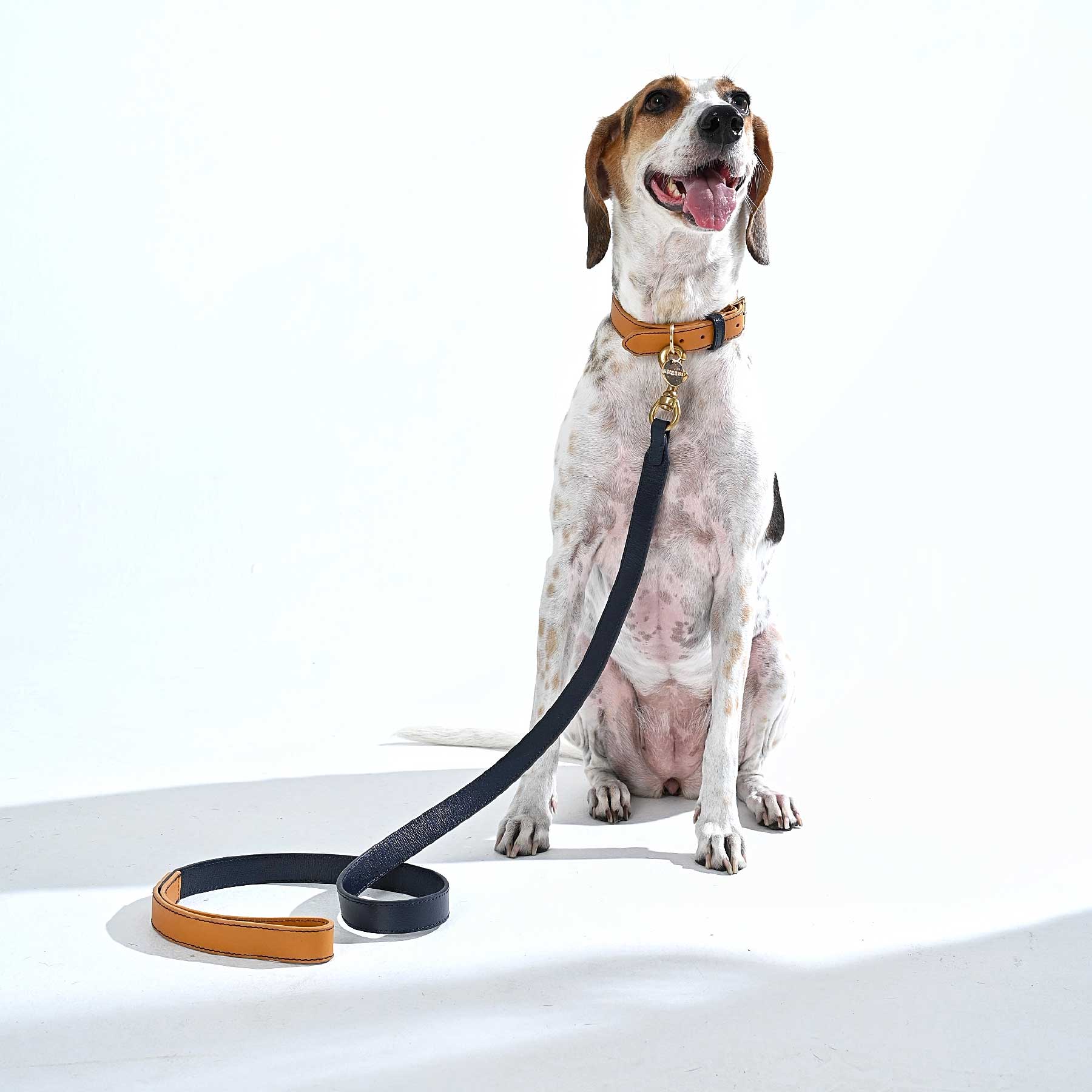 Set Collar Coconut/Blueberry & Correa Blueberry/Coconut