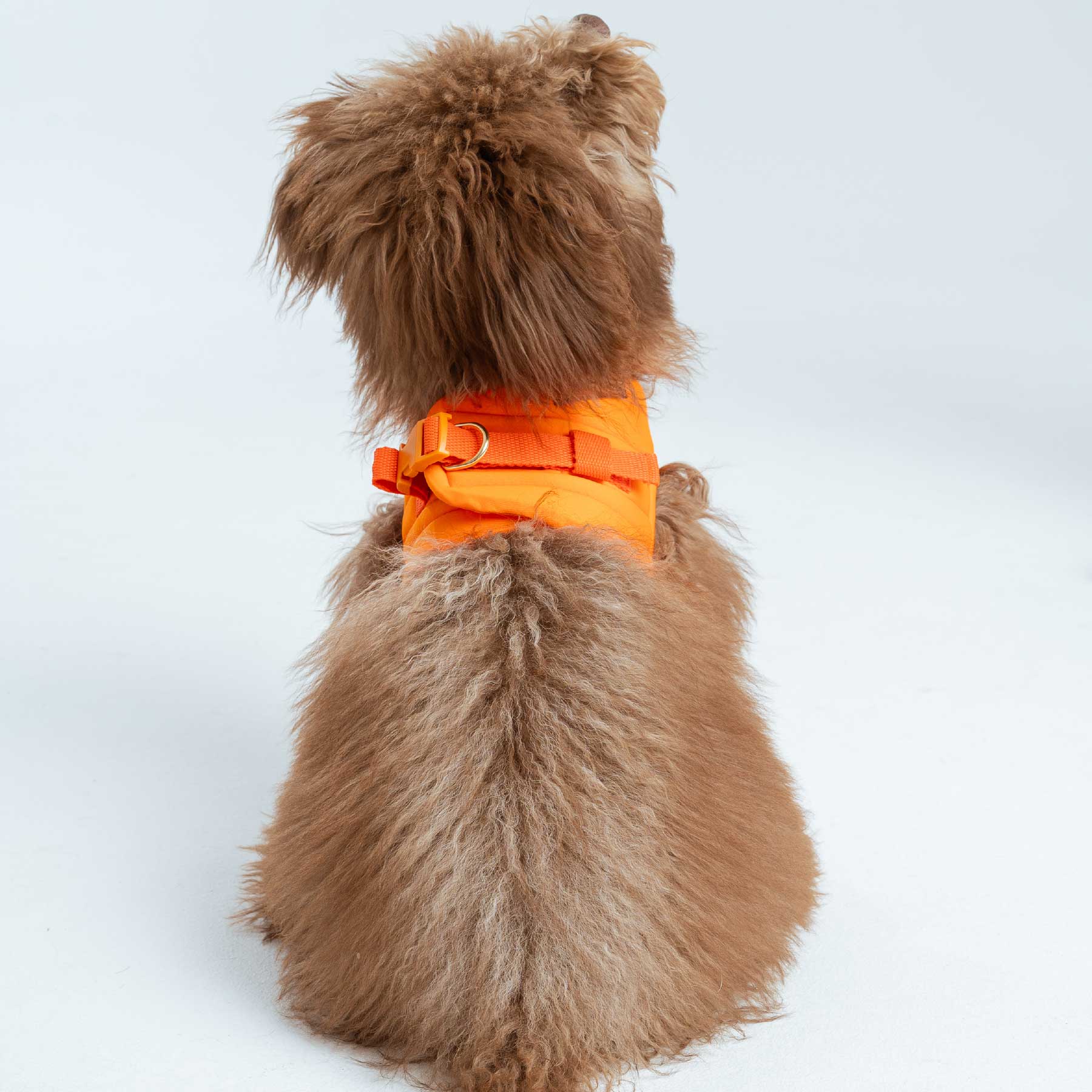 Pechera Orange
