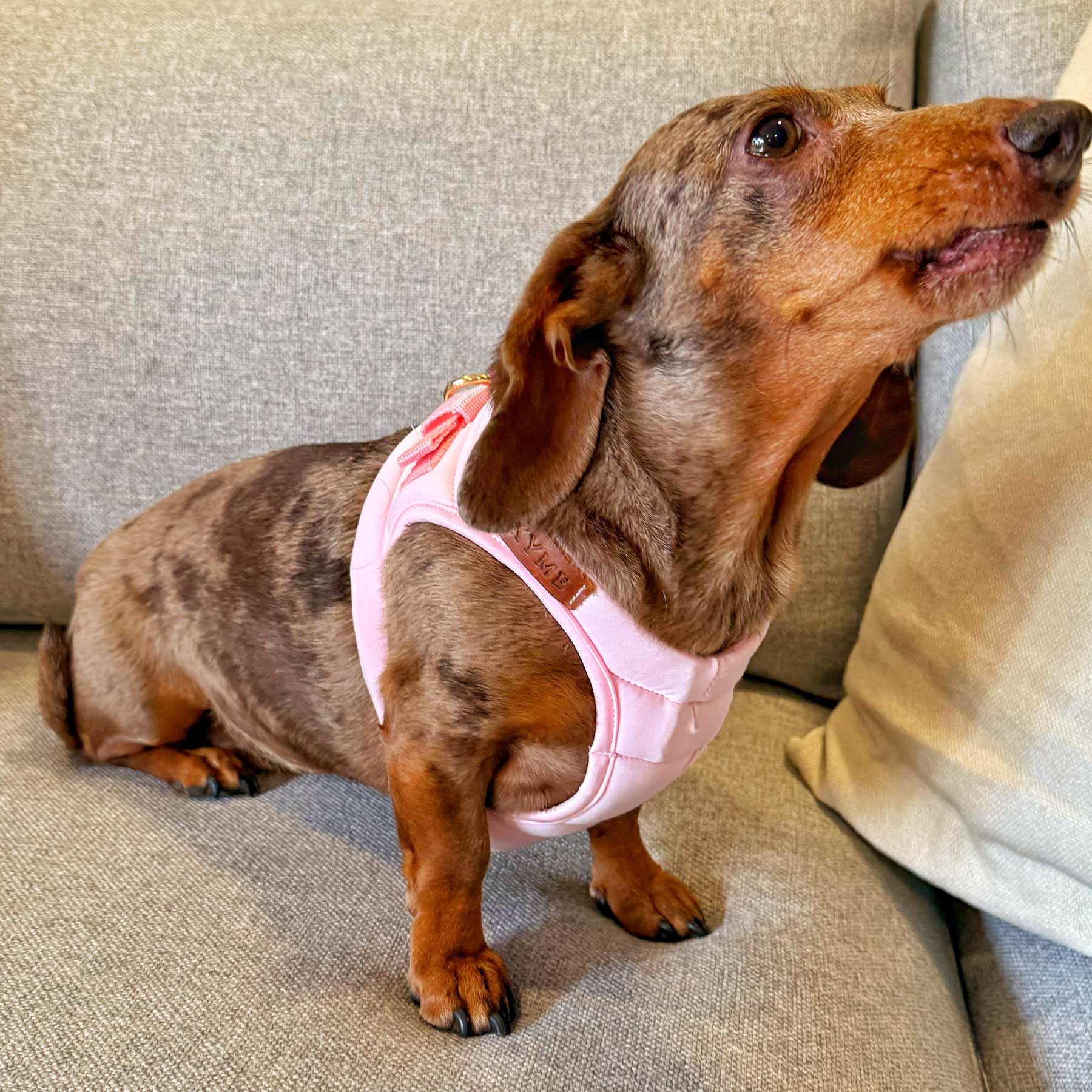 PECHERA PINK