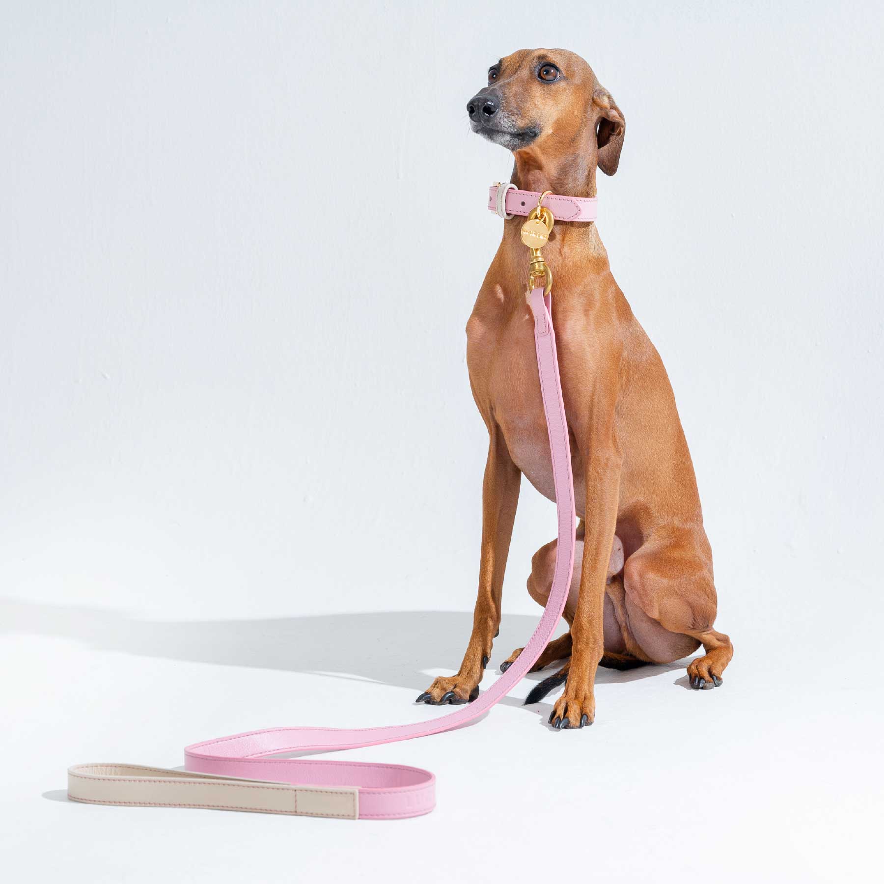 SET COLLAR PINKBLUSH/CREAM + CORREA PINKBLUSH/CREAM