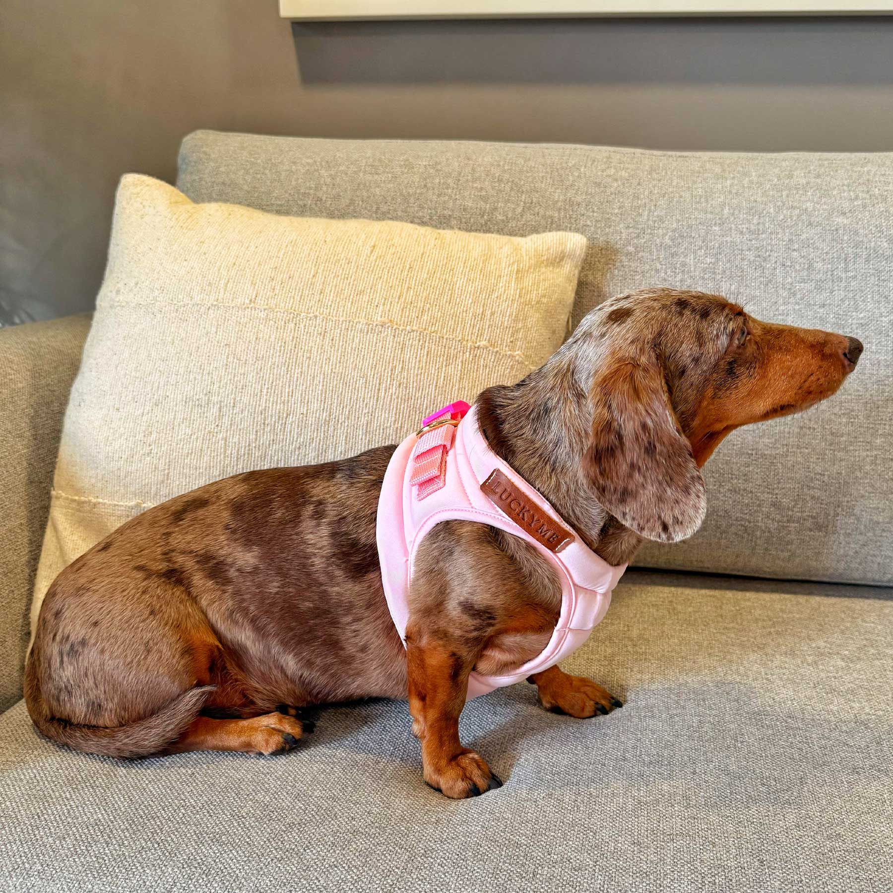 PECHERA PINK