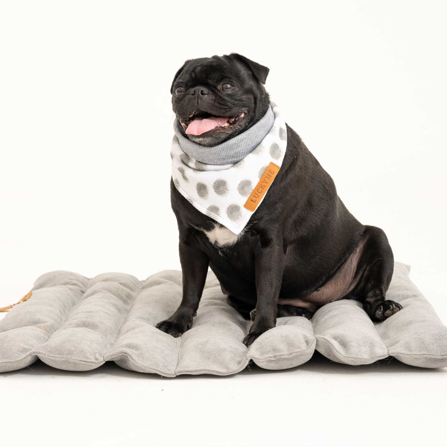 Pañoleta grey dots