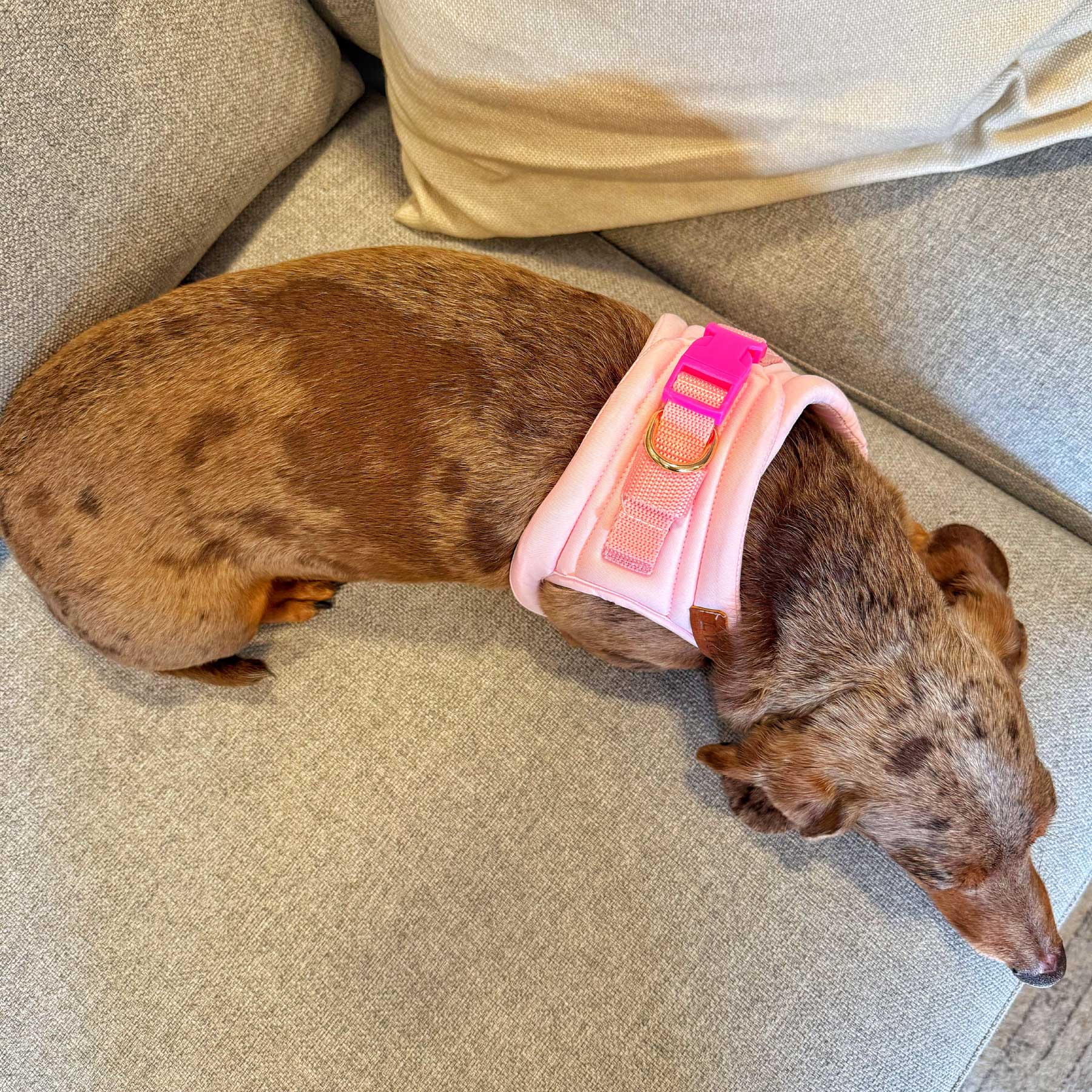 PECHERA PINK