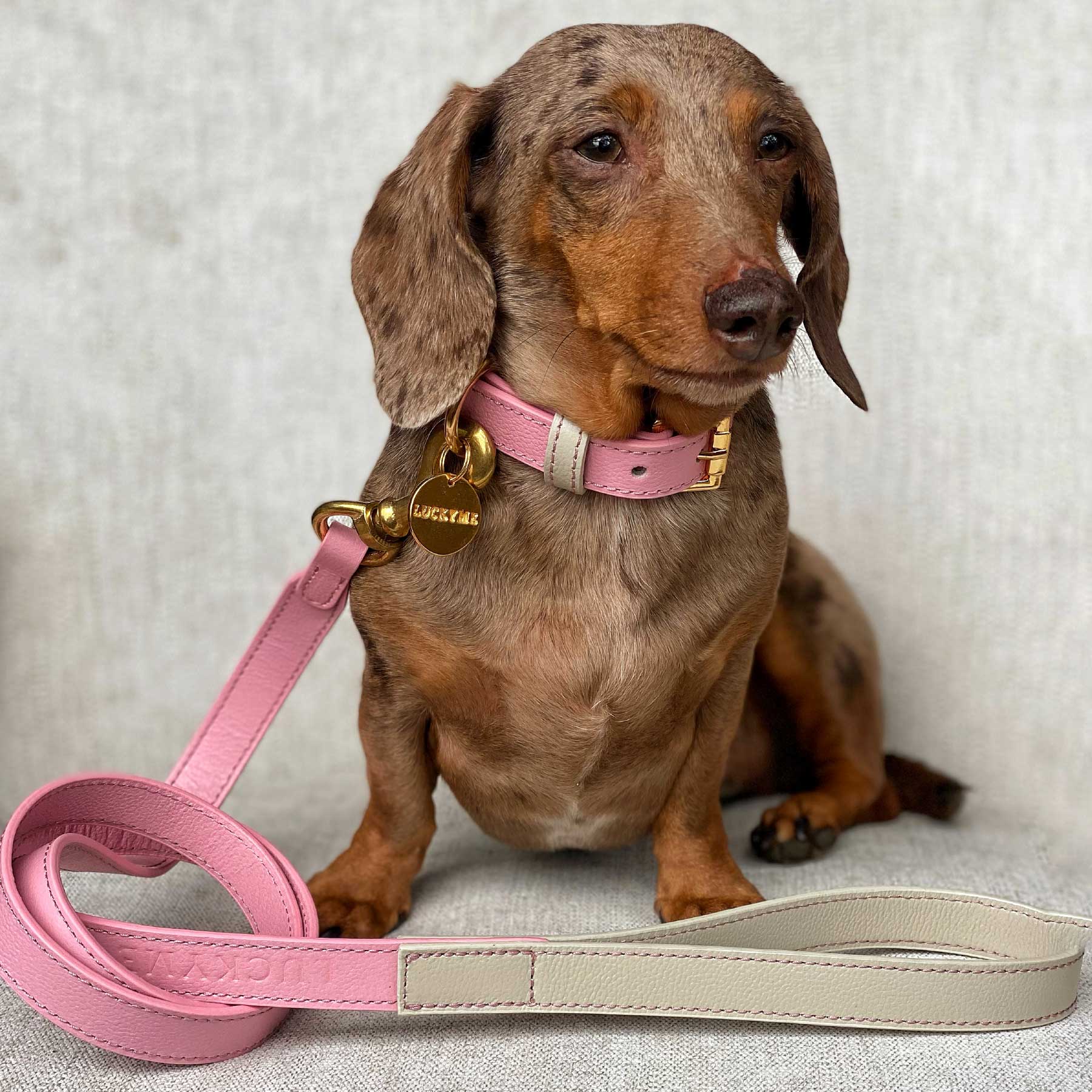 SET COLLAR PINKBLUSH/CREAM + CORREA PINKBLUSH/CREAM