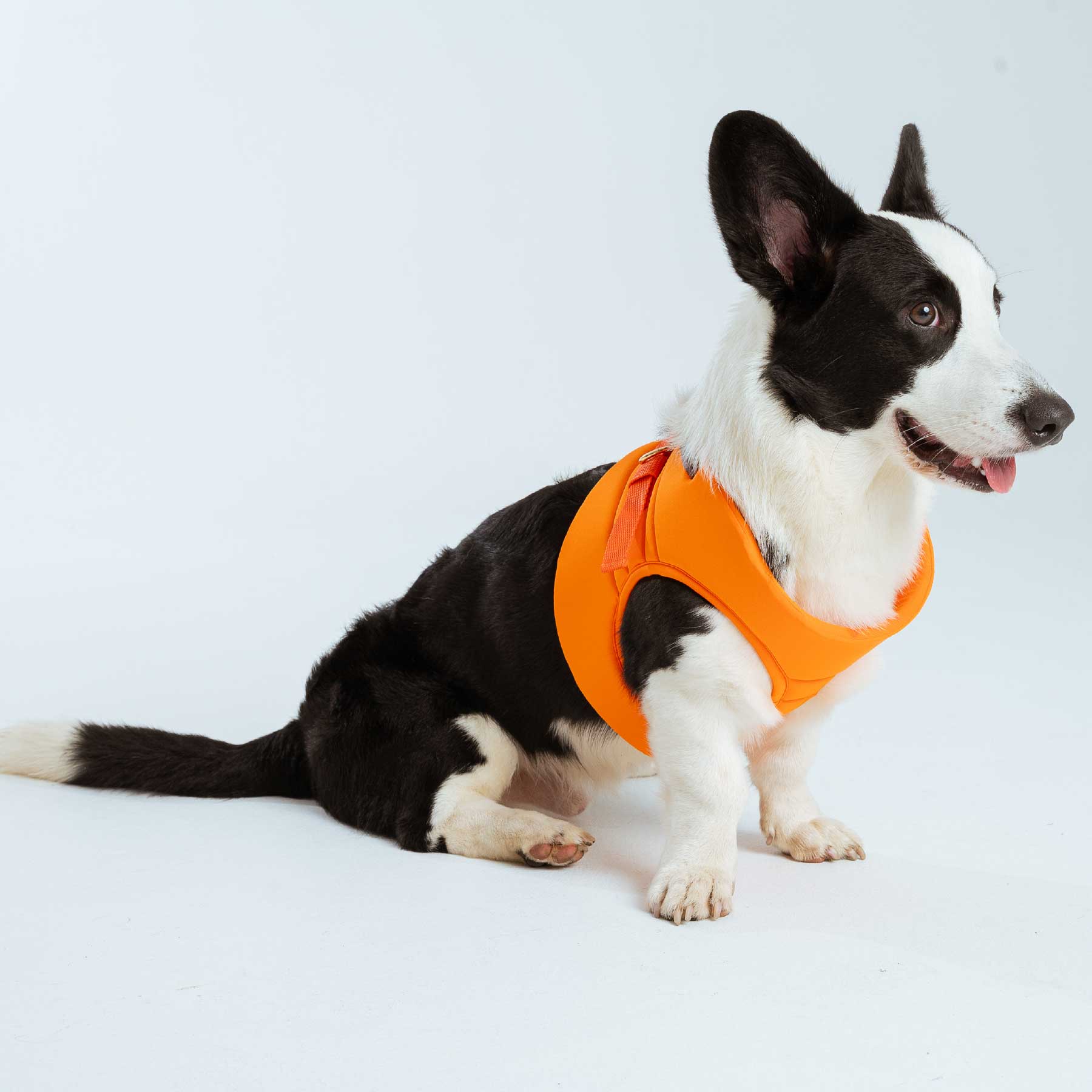 Pechera Orange