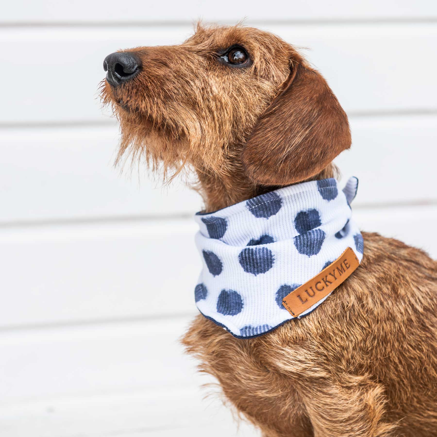 Pañoleta Navy Dots