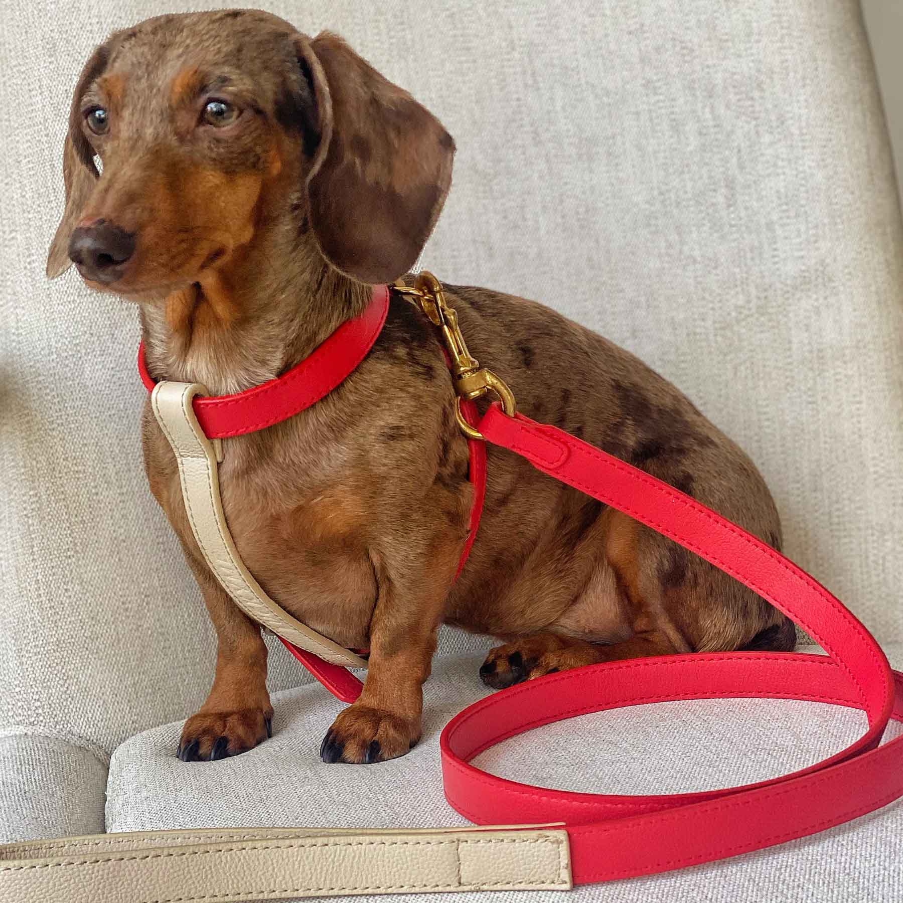 Arnes cherry/cream & correa cherry/cream