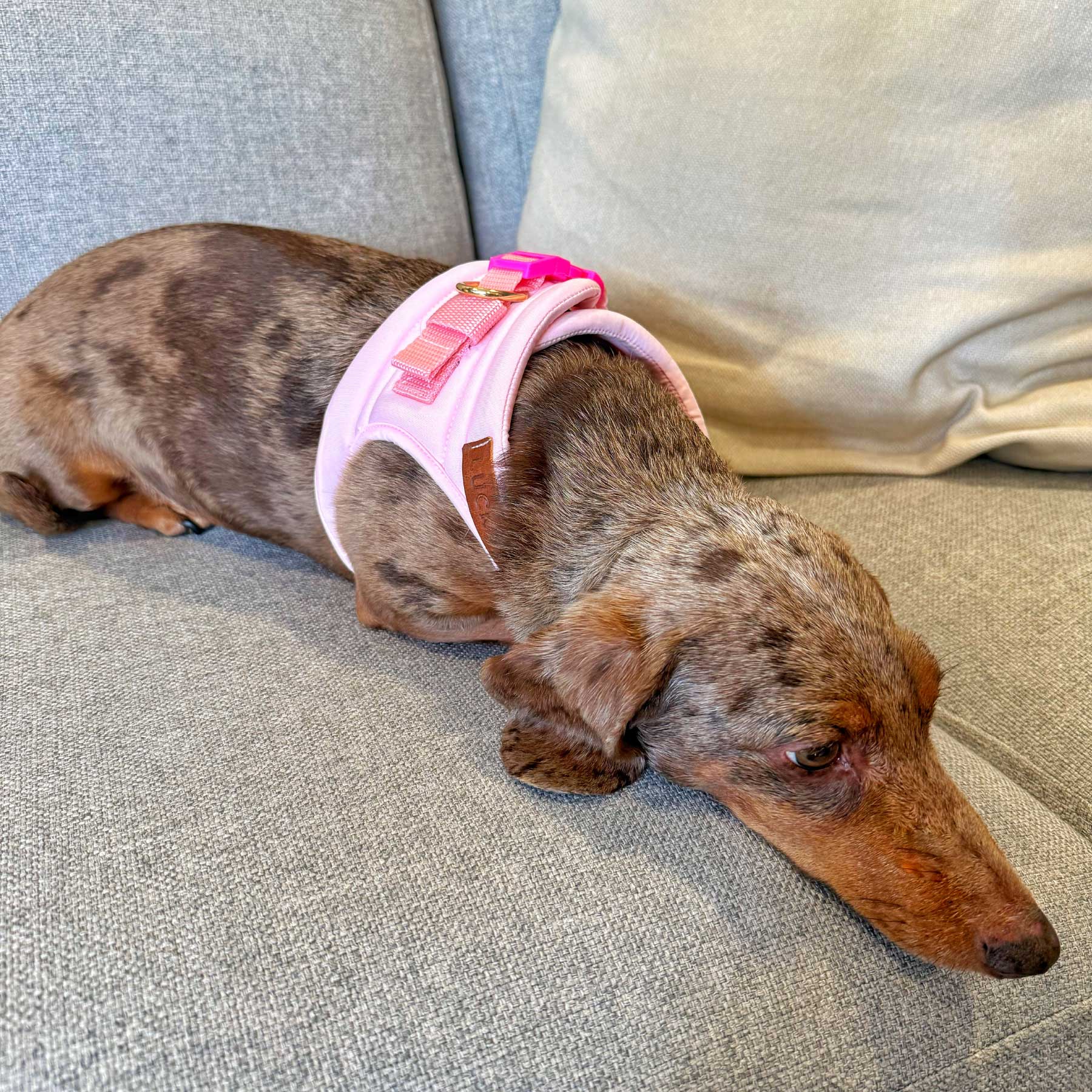PECHERA PINK