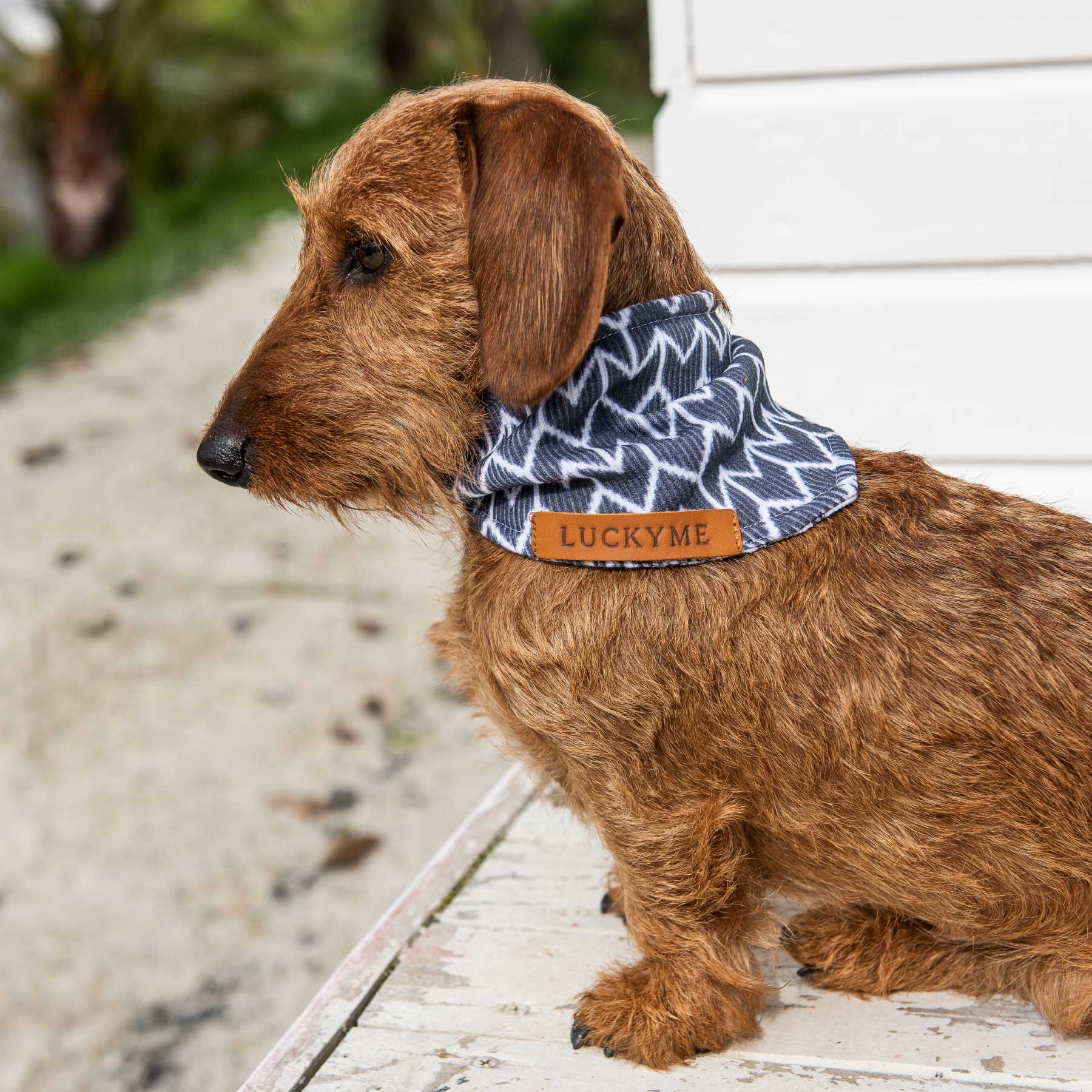 Pañoleta Navy Boho