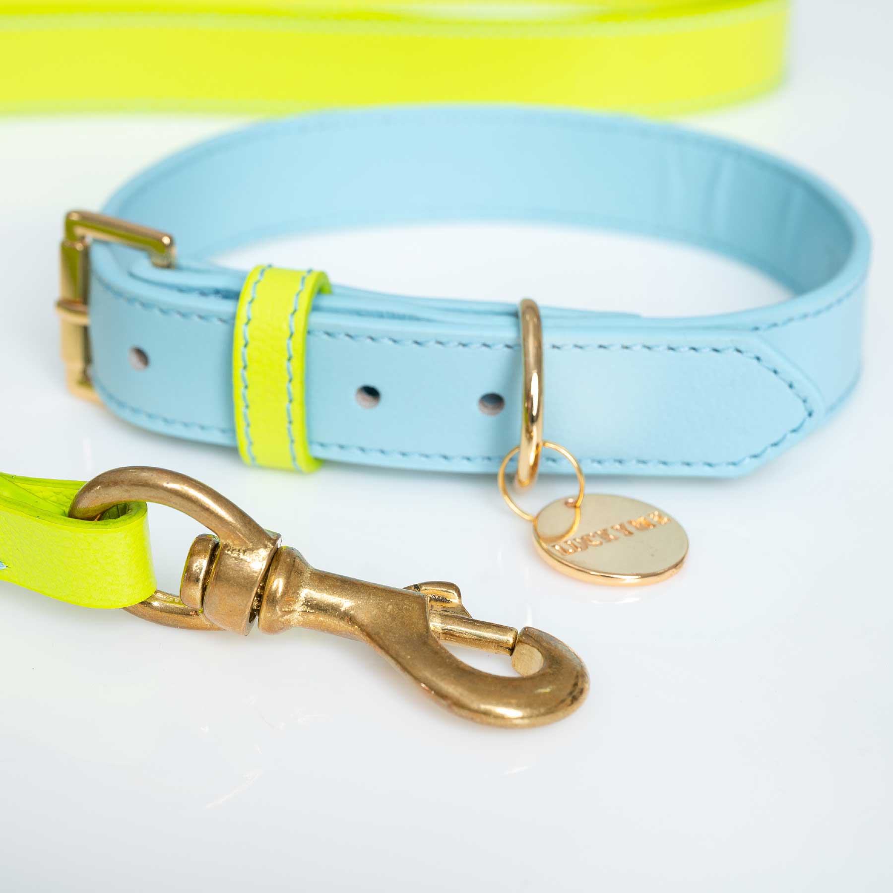 SET COLLAR BABYBLUE/LEMON + CORREA LEMON/BABYBLUE