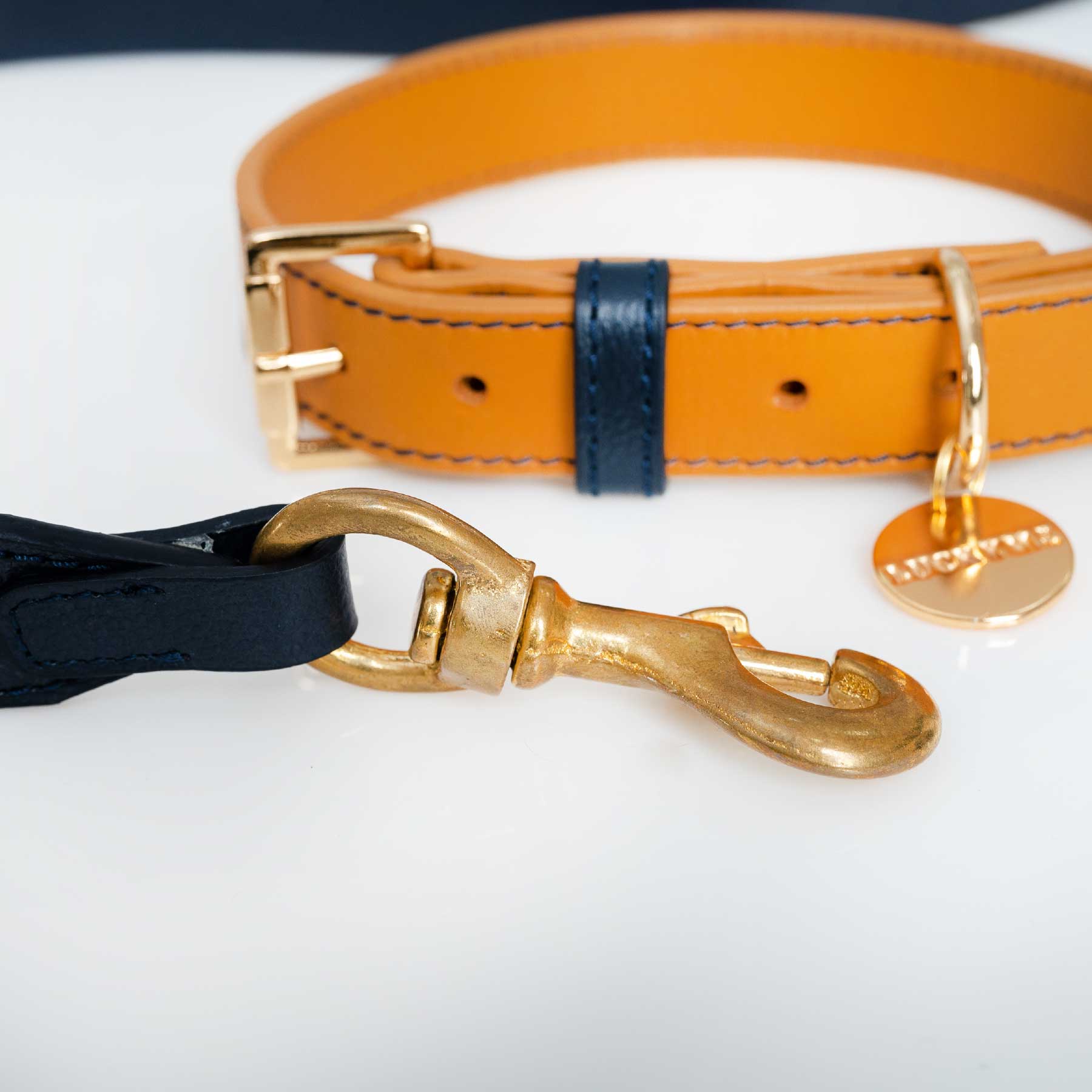 Set Collar Coconut/Blueberry & Correa Blueberry/Coconut