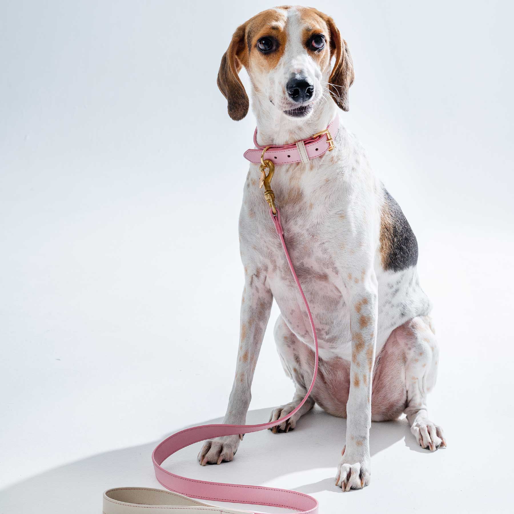 SET COLLAR PINKBLUSH/CREAM + CORREA PINKBLUSH/CREAM