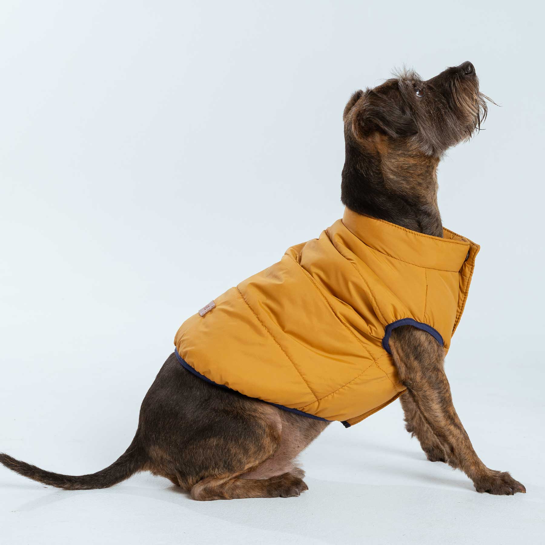 CHALECO MUSTARD "new collection"