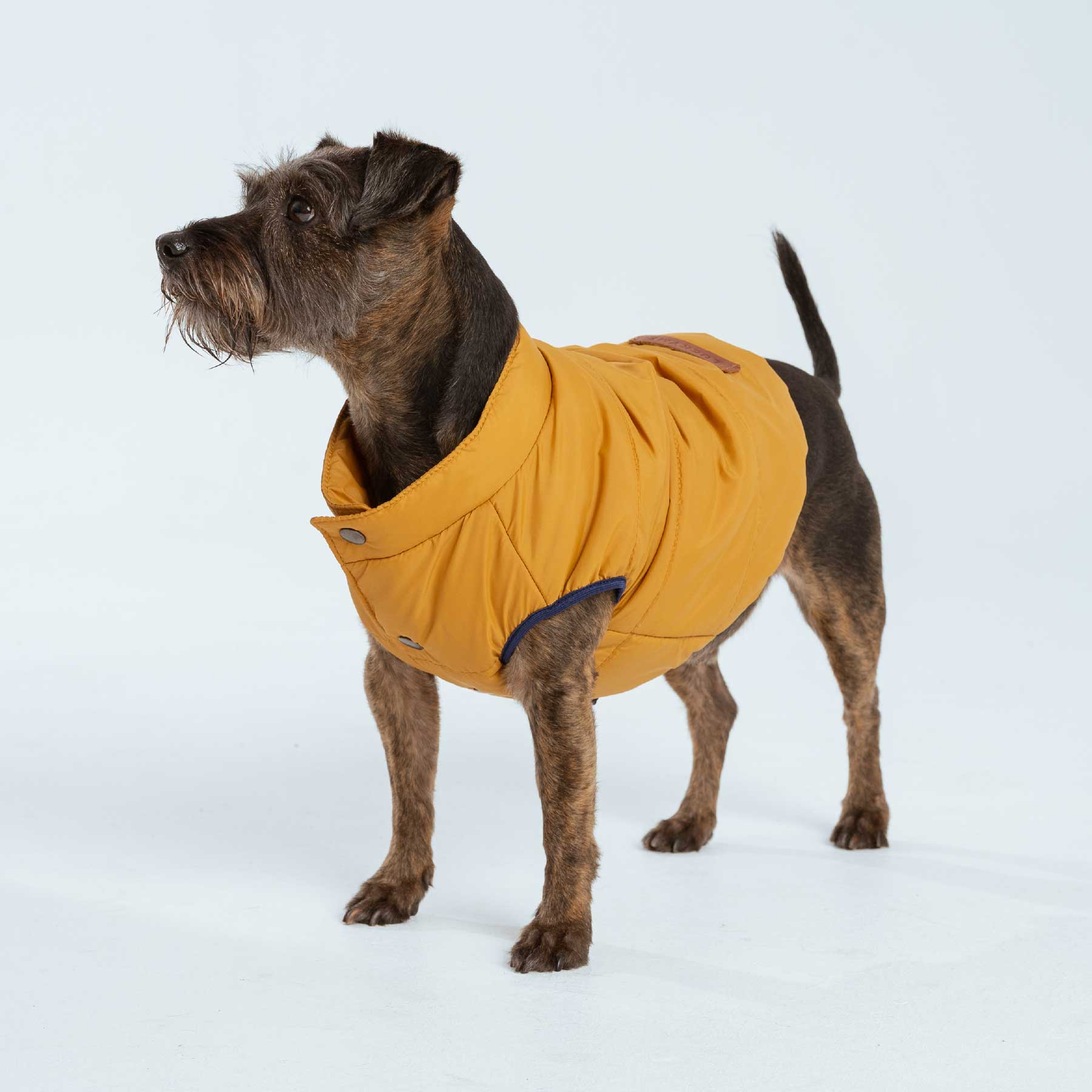 CHALECO MUSTARD "new collection"
