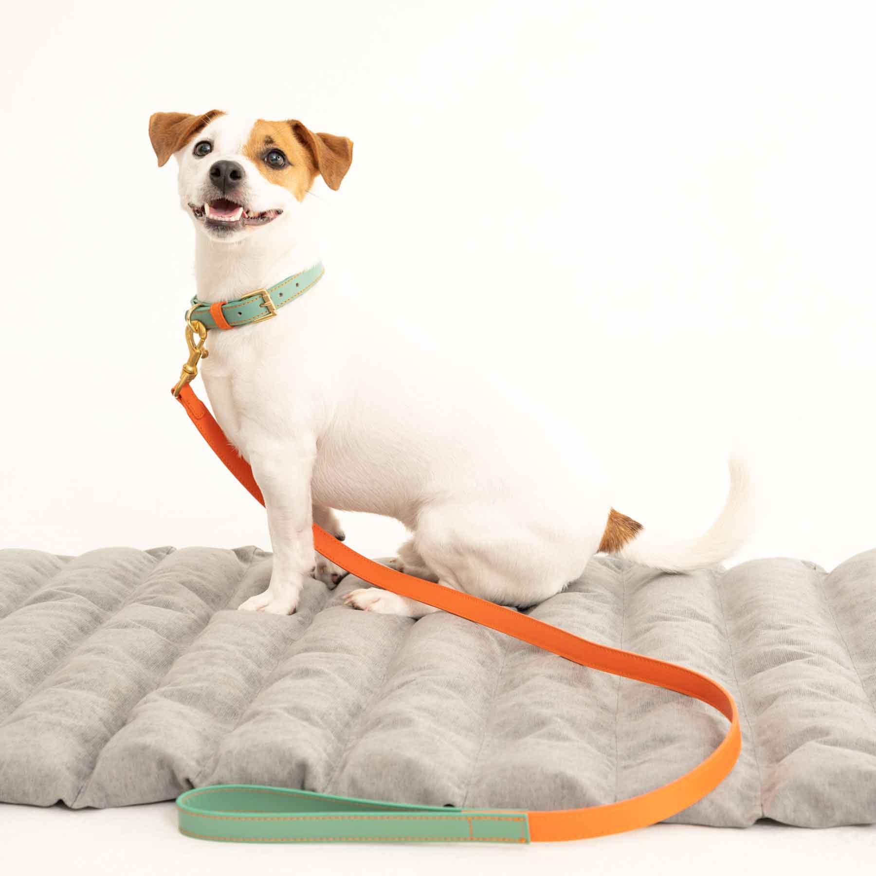 Collar Aquamarine/Papaya