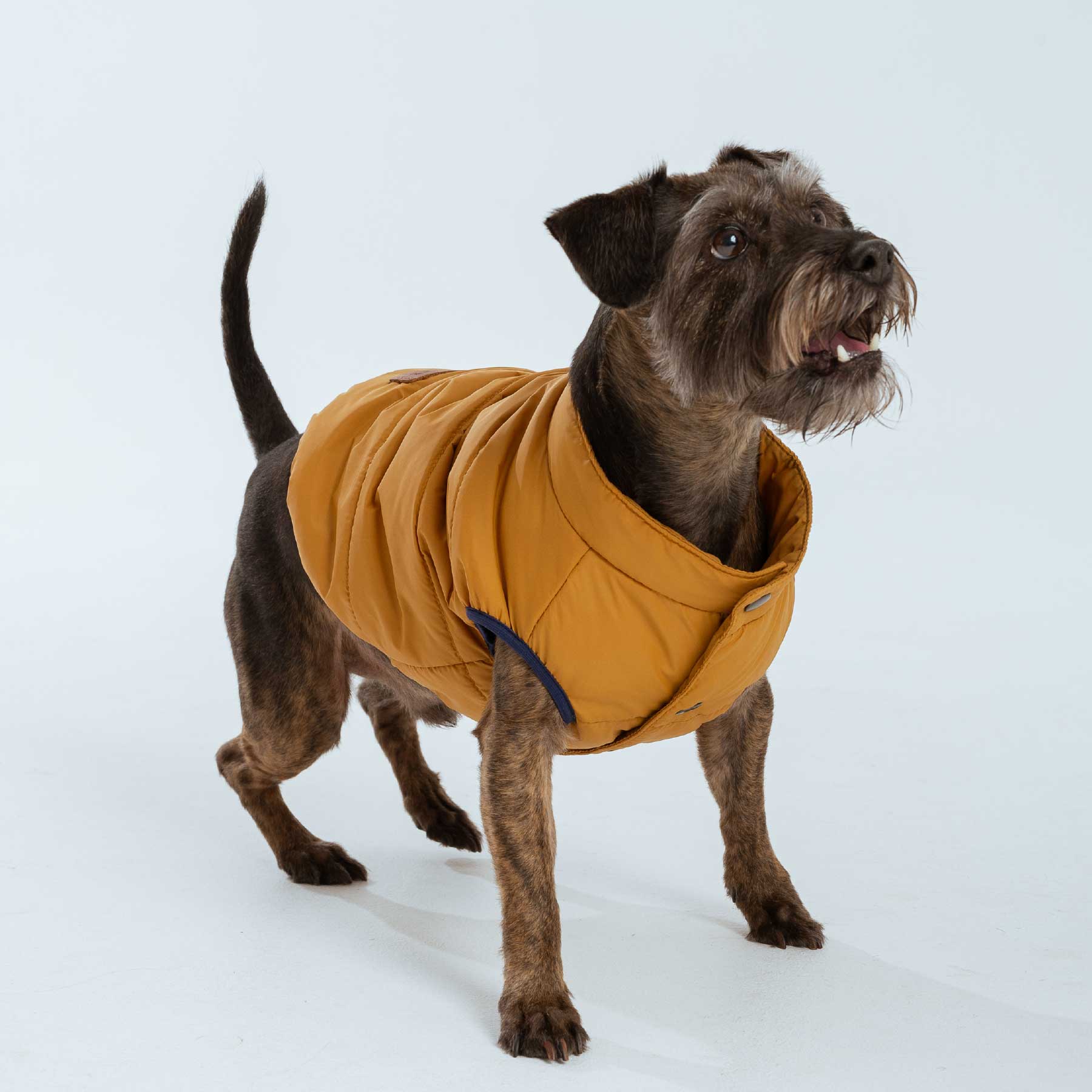CHALECO MUSTARD "new collection"