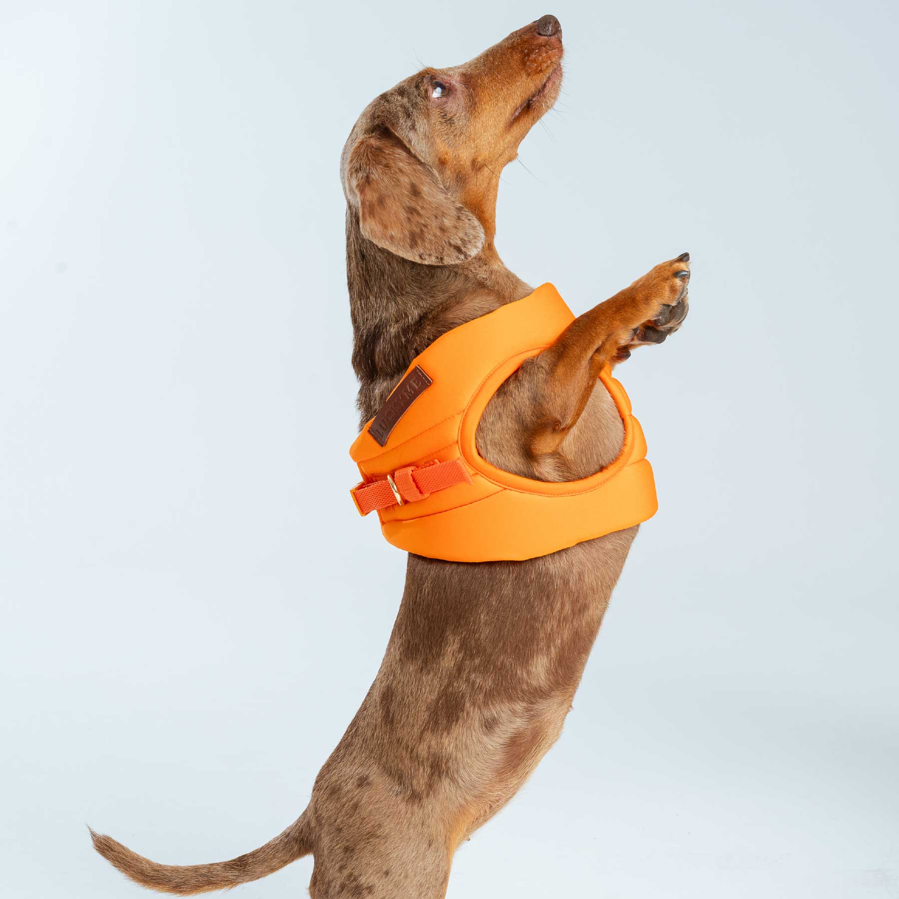 Pechera Orange
