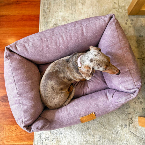 NEW "SPECIAL EDITION" LUCKYME BED PURPLE (XS-S)