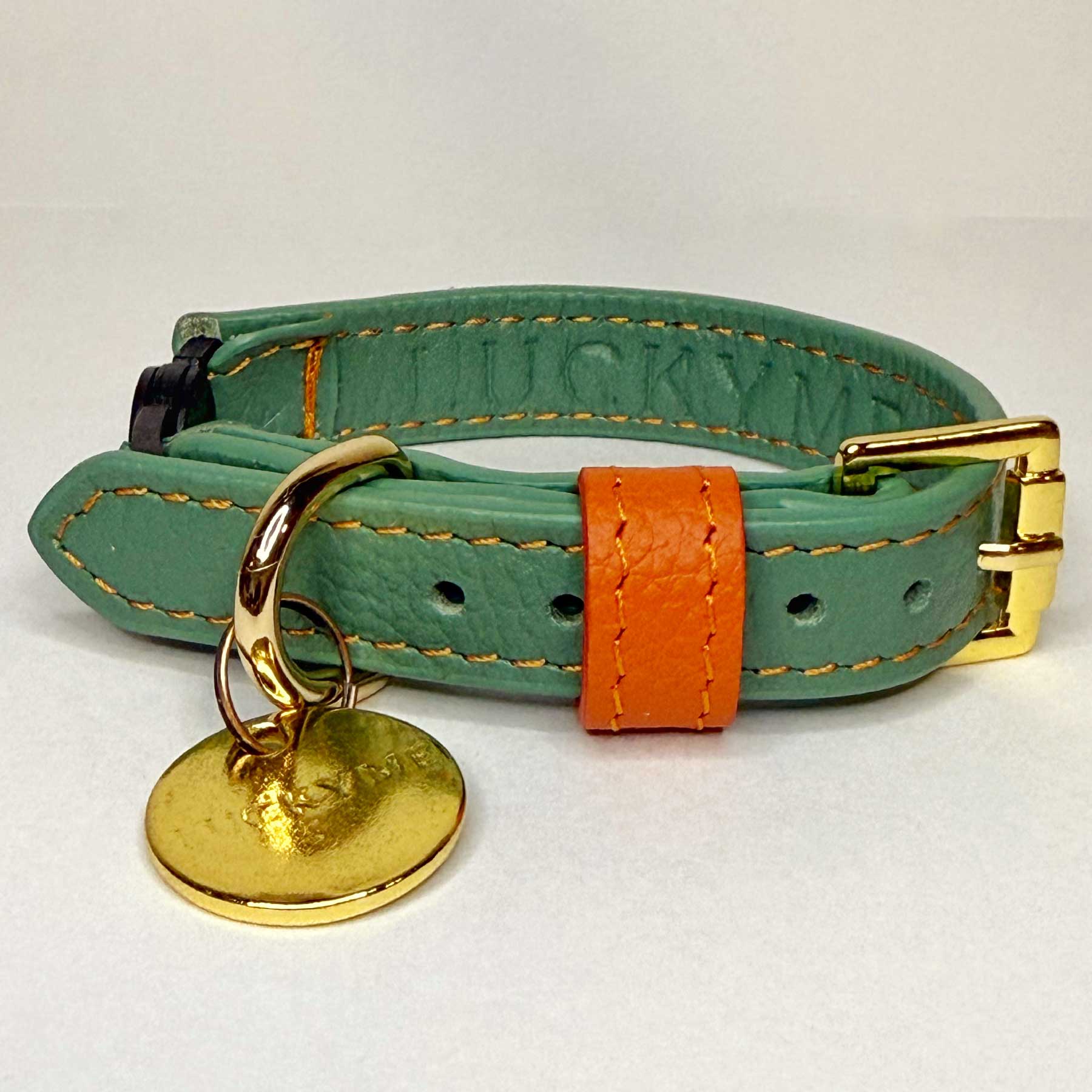 COLLAR GATO AQUAMARINE/PAPAYA