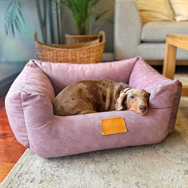 NEW "SPECIAL EDITION" LUCKYME BED PURPLE (XS-S)