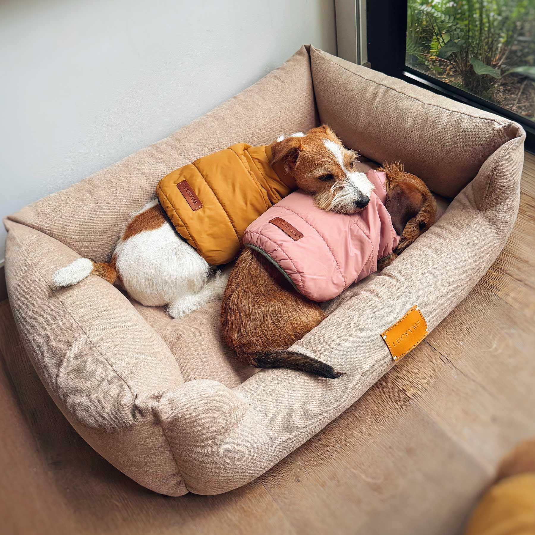 LUCKYME BED BEIGE (M-L)