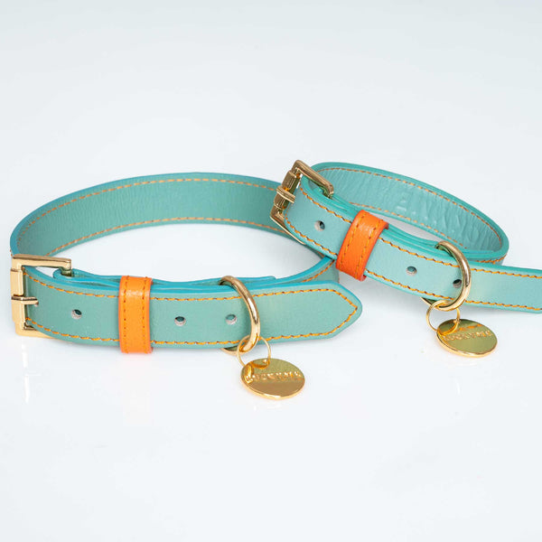 Collar Aquamarine/Papaya